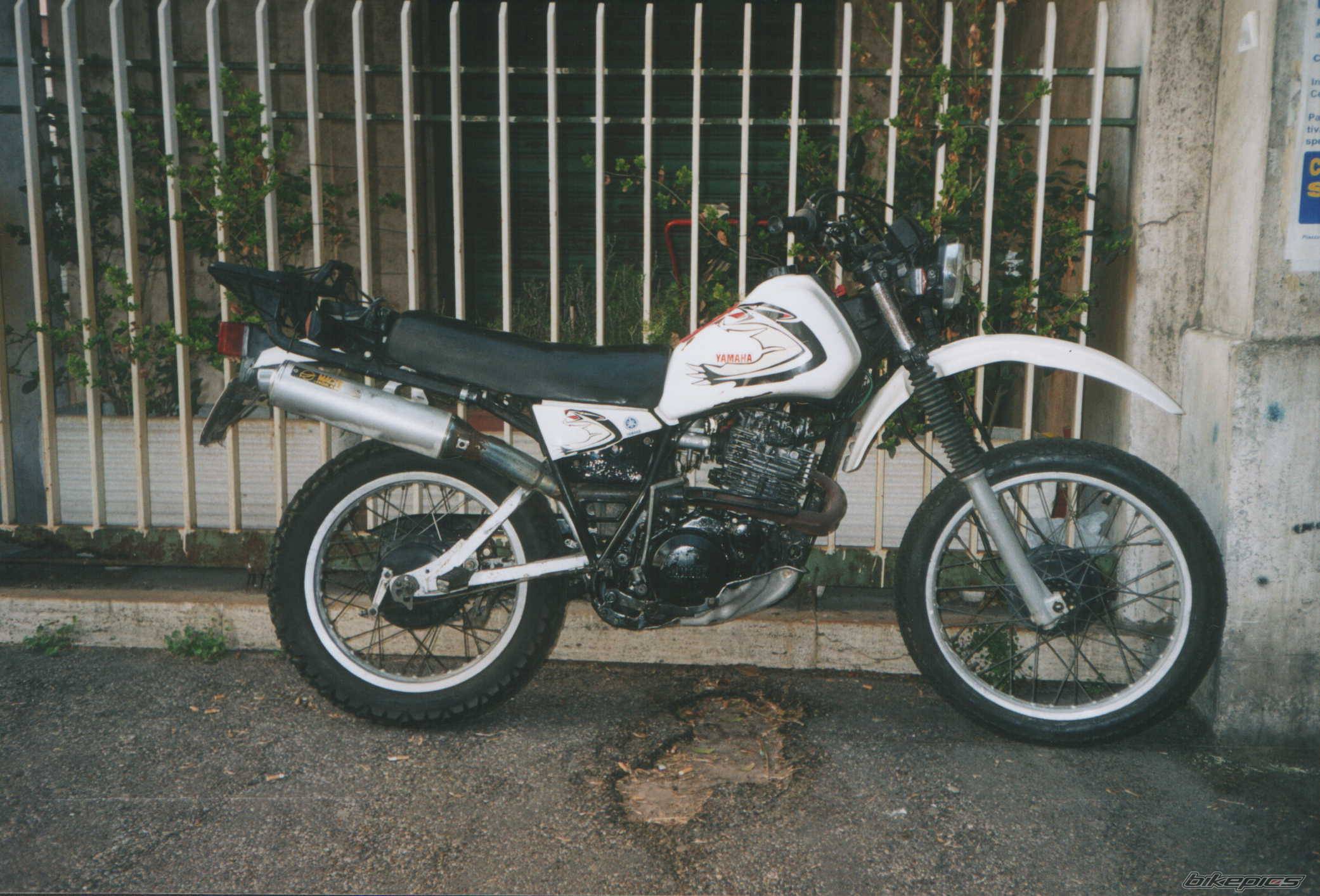Bike Photo 264821