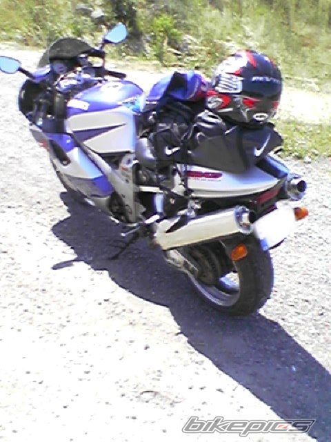 Photo 2648210