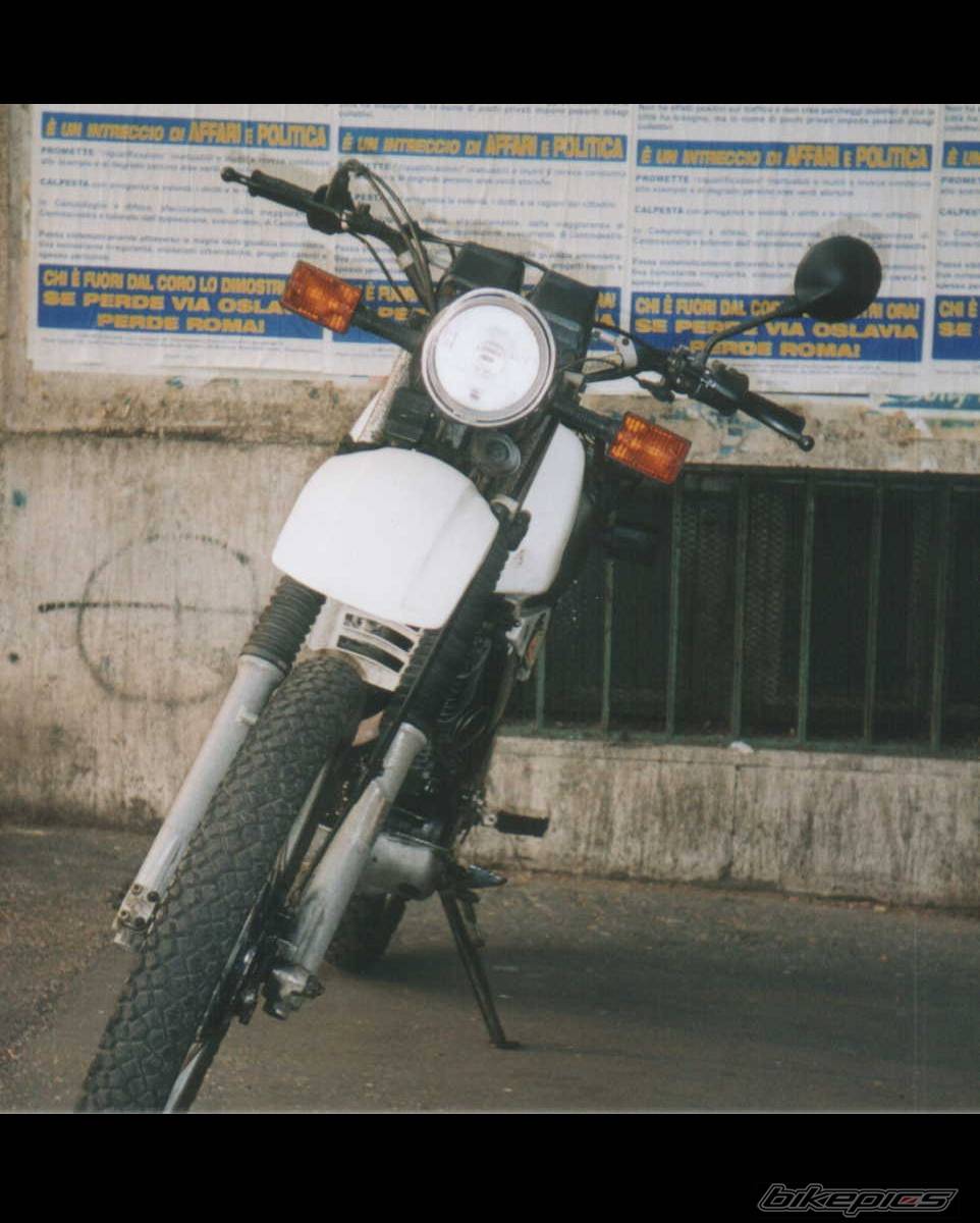 Photo 264822