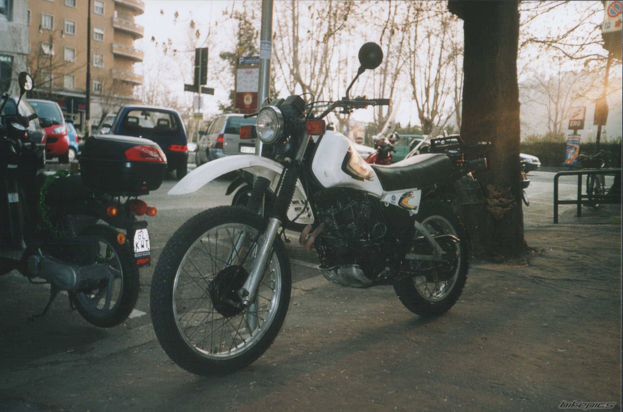 Photo 264824
