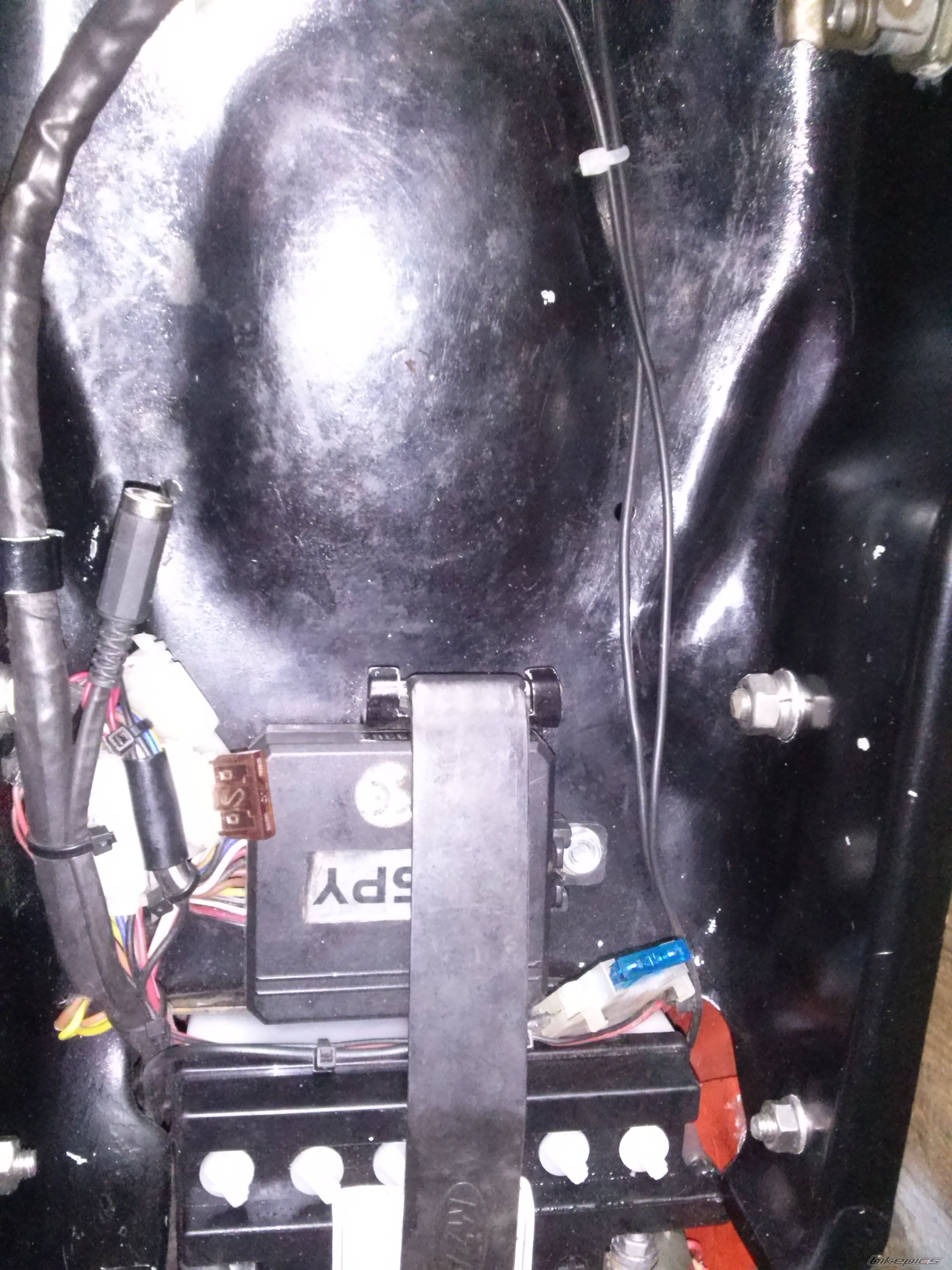 Photo 2648313