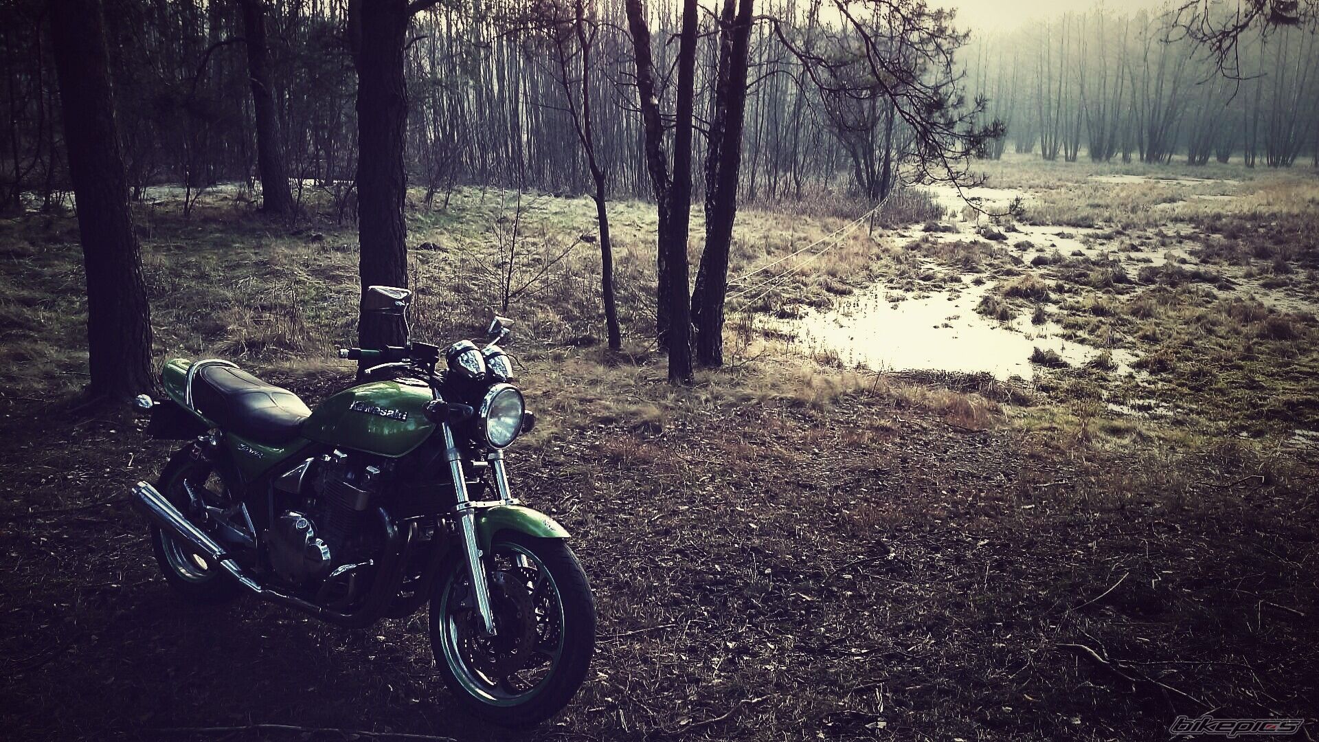 Photo 2648326