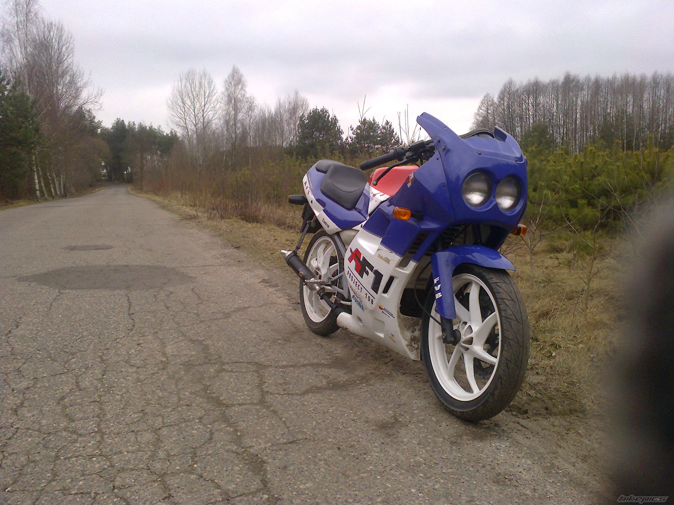 Photo 2648331