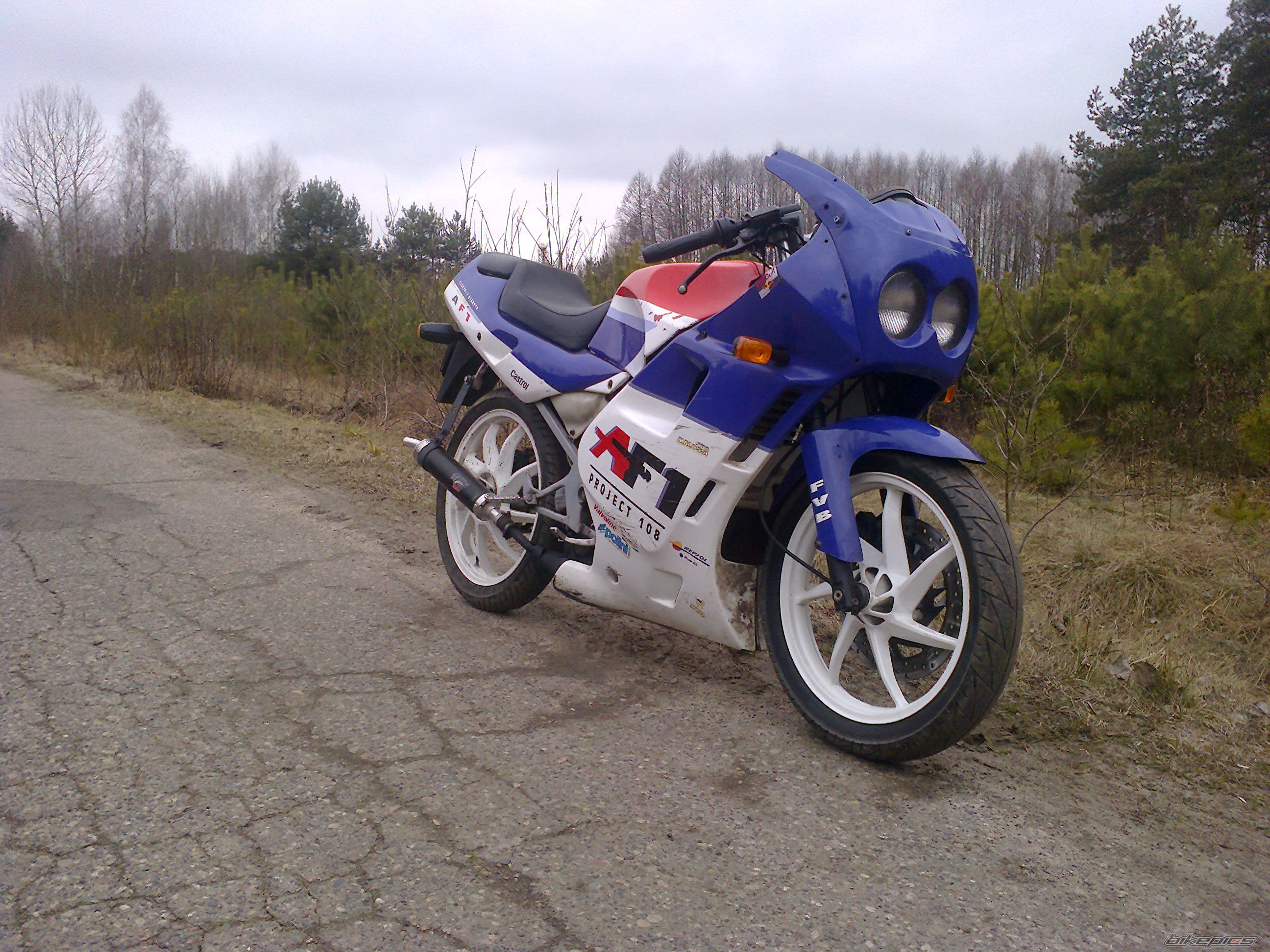 Photo 2648332