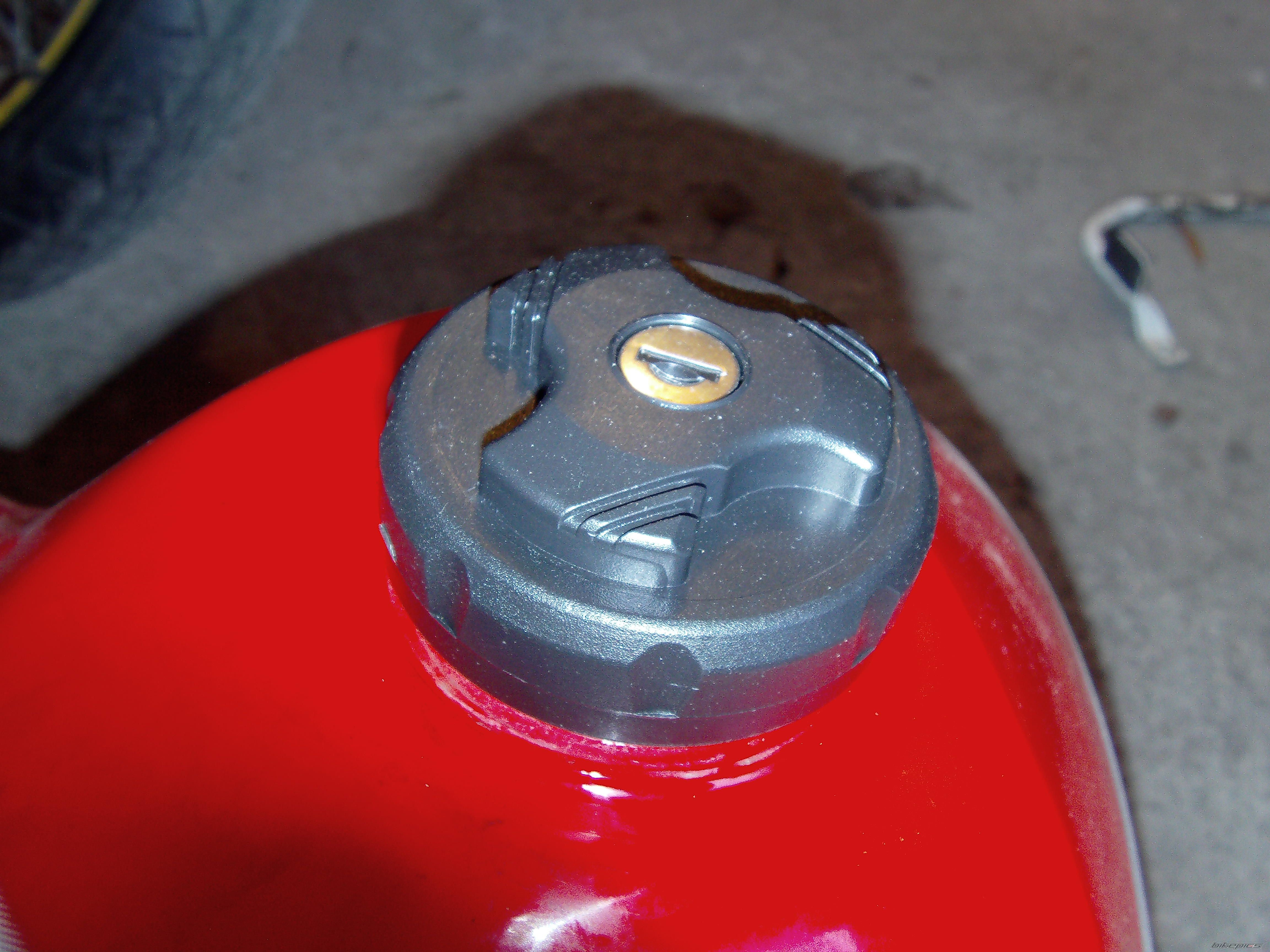 Photo 2648444