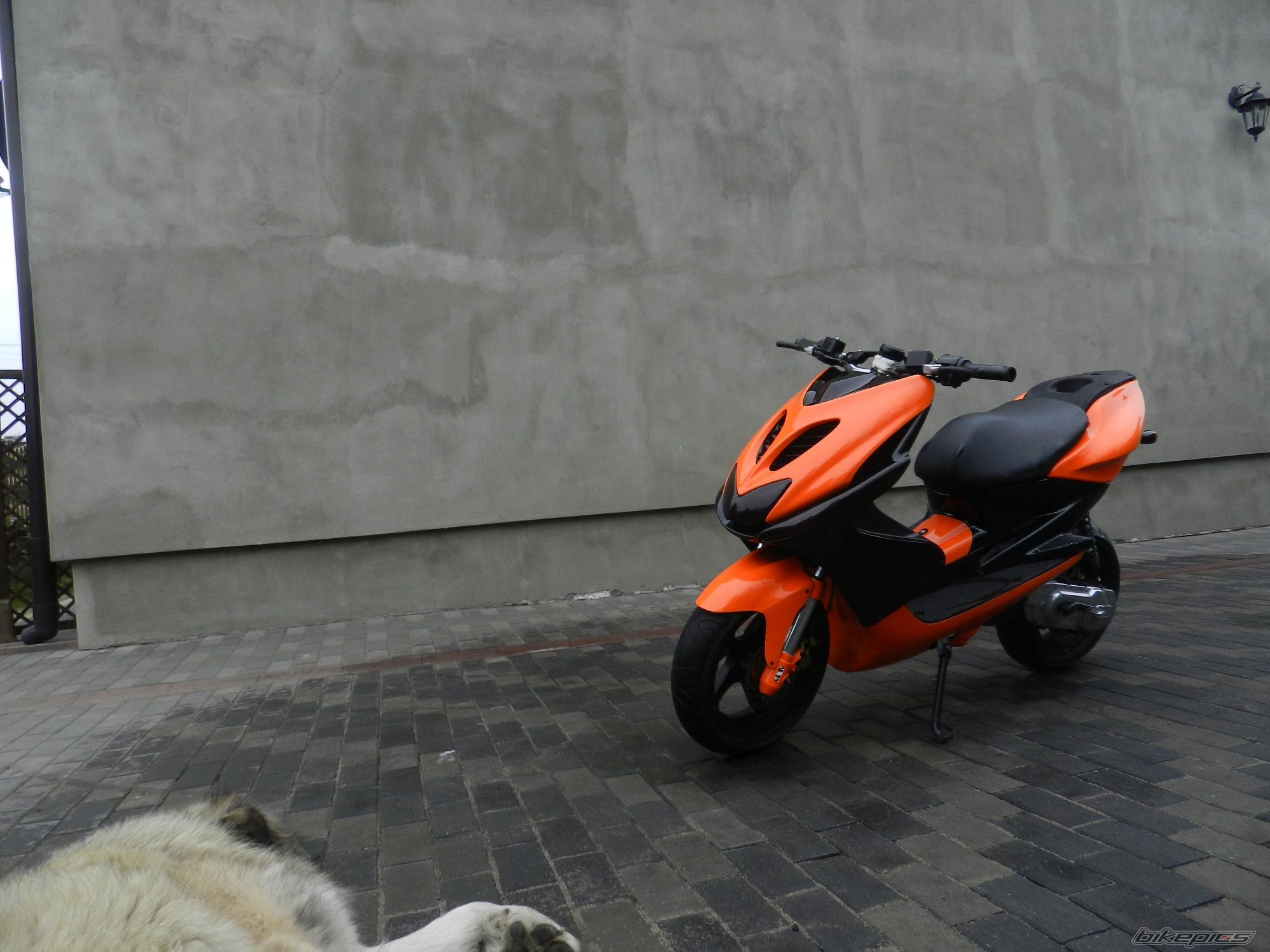 Bike Photo 2648465
