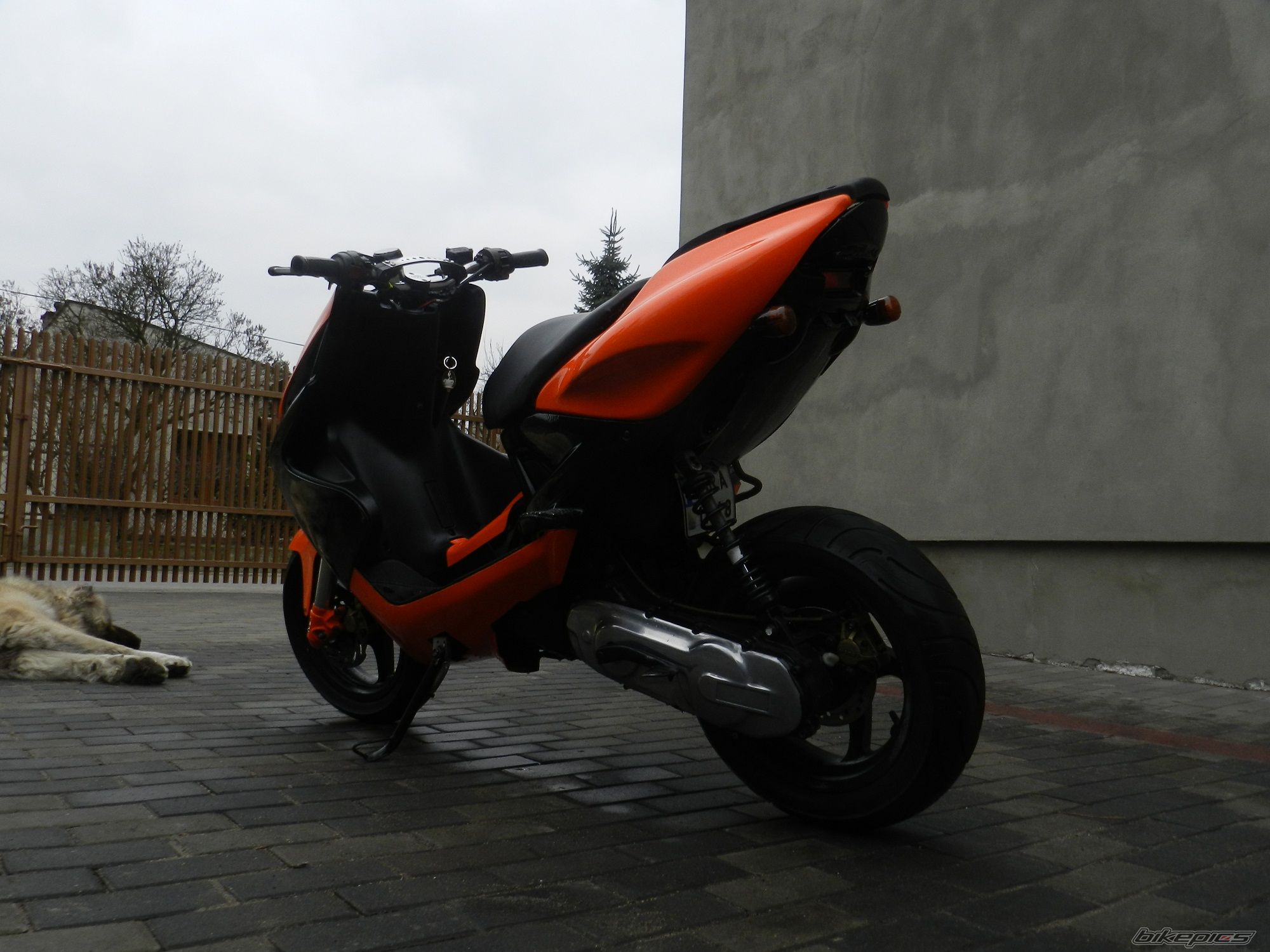 Bike Photo 2648476