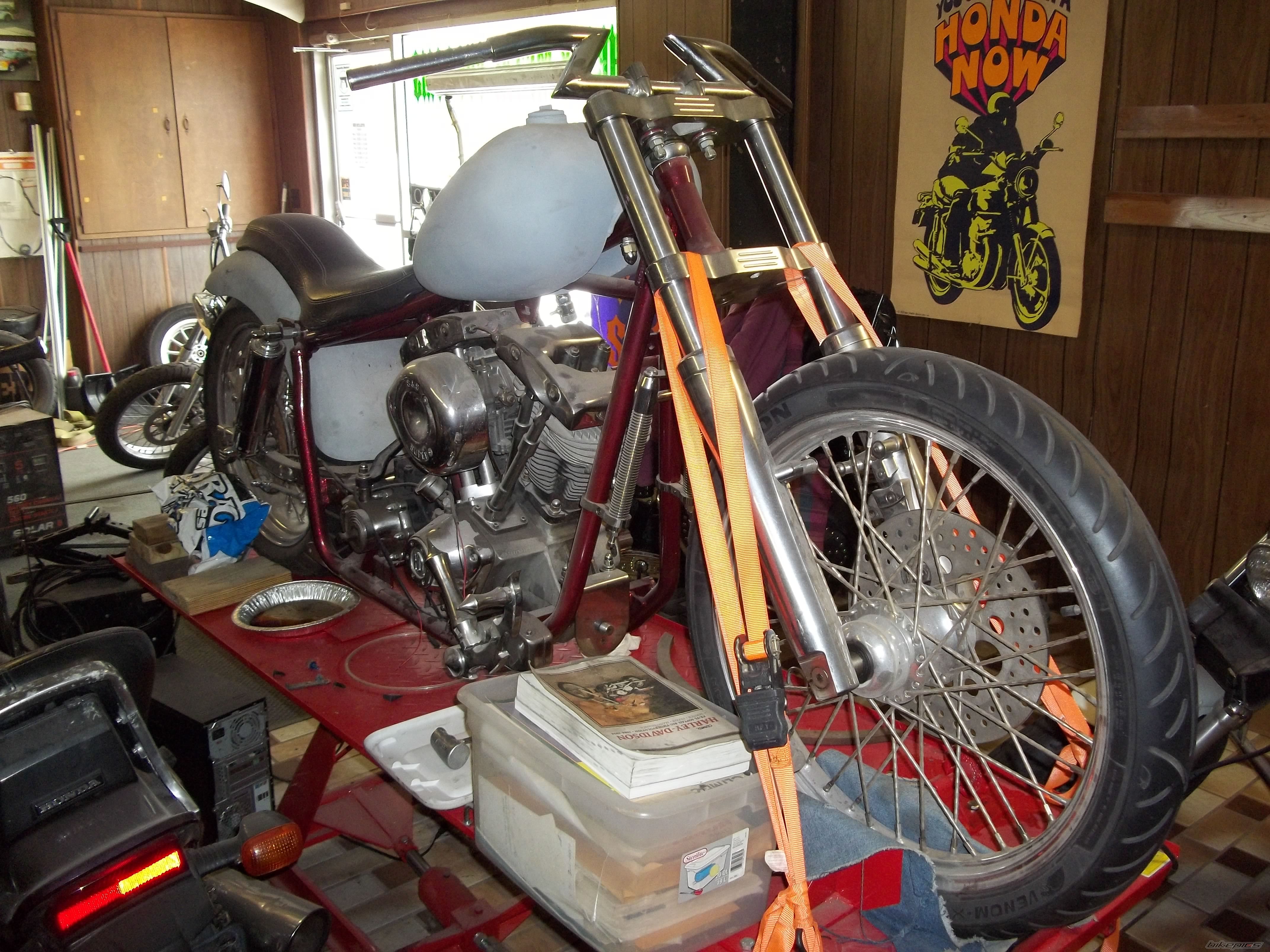 Photo 2648490