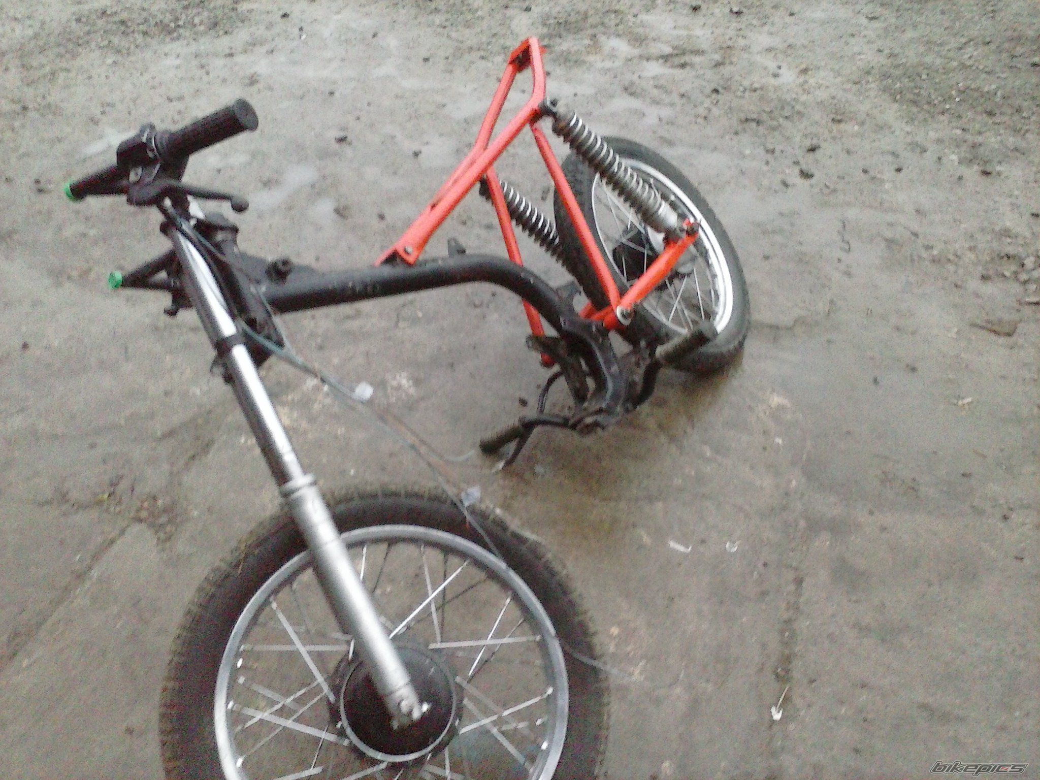 Photo 2648495