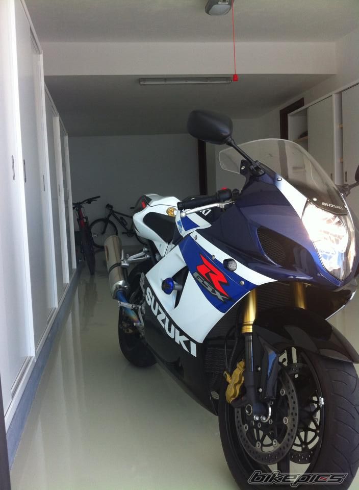 Photo 2648577
