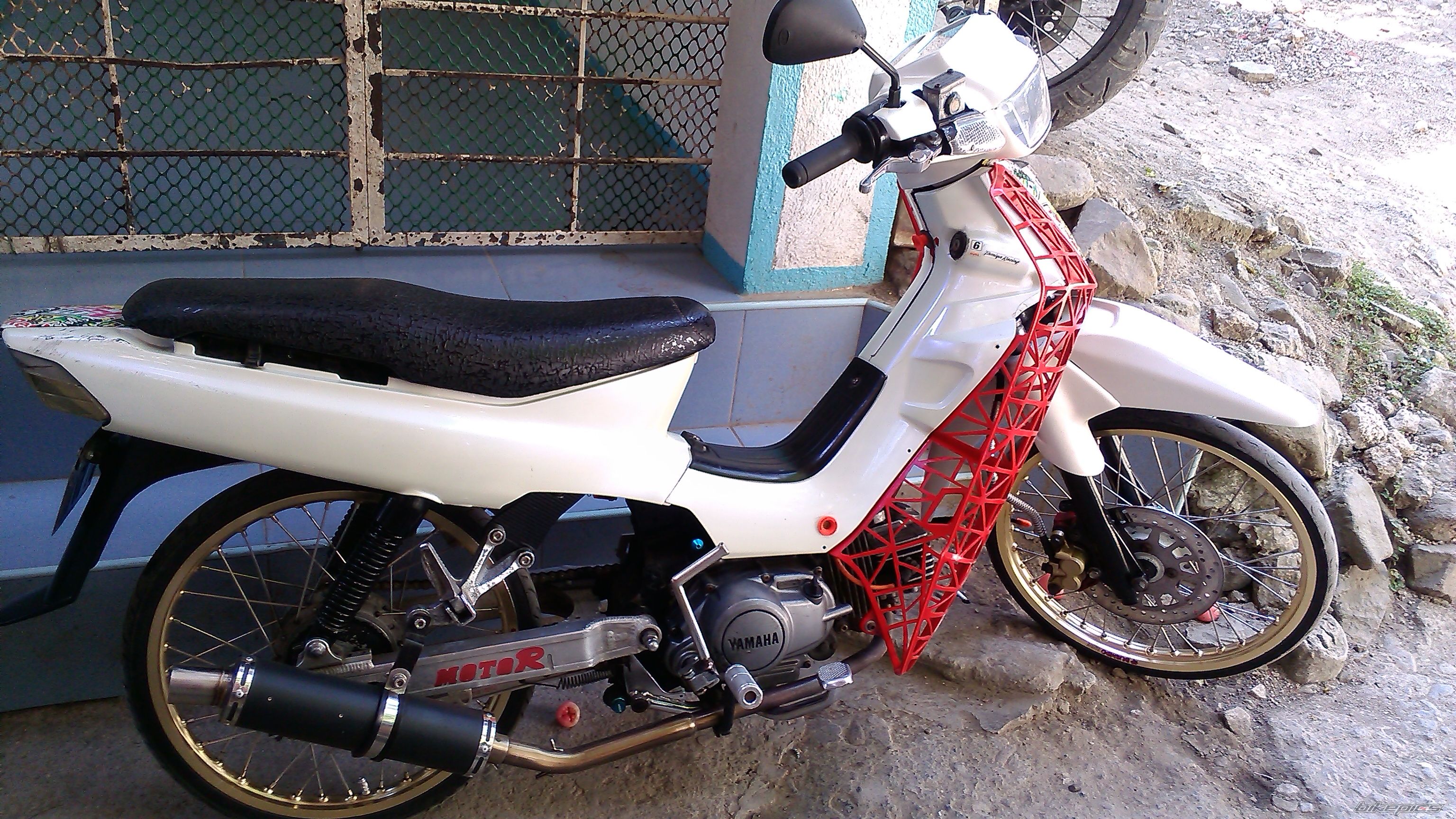 Photo 2648606