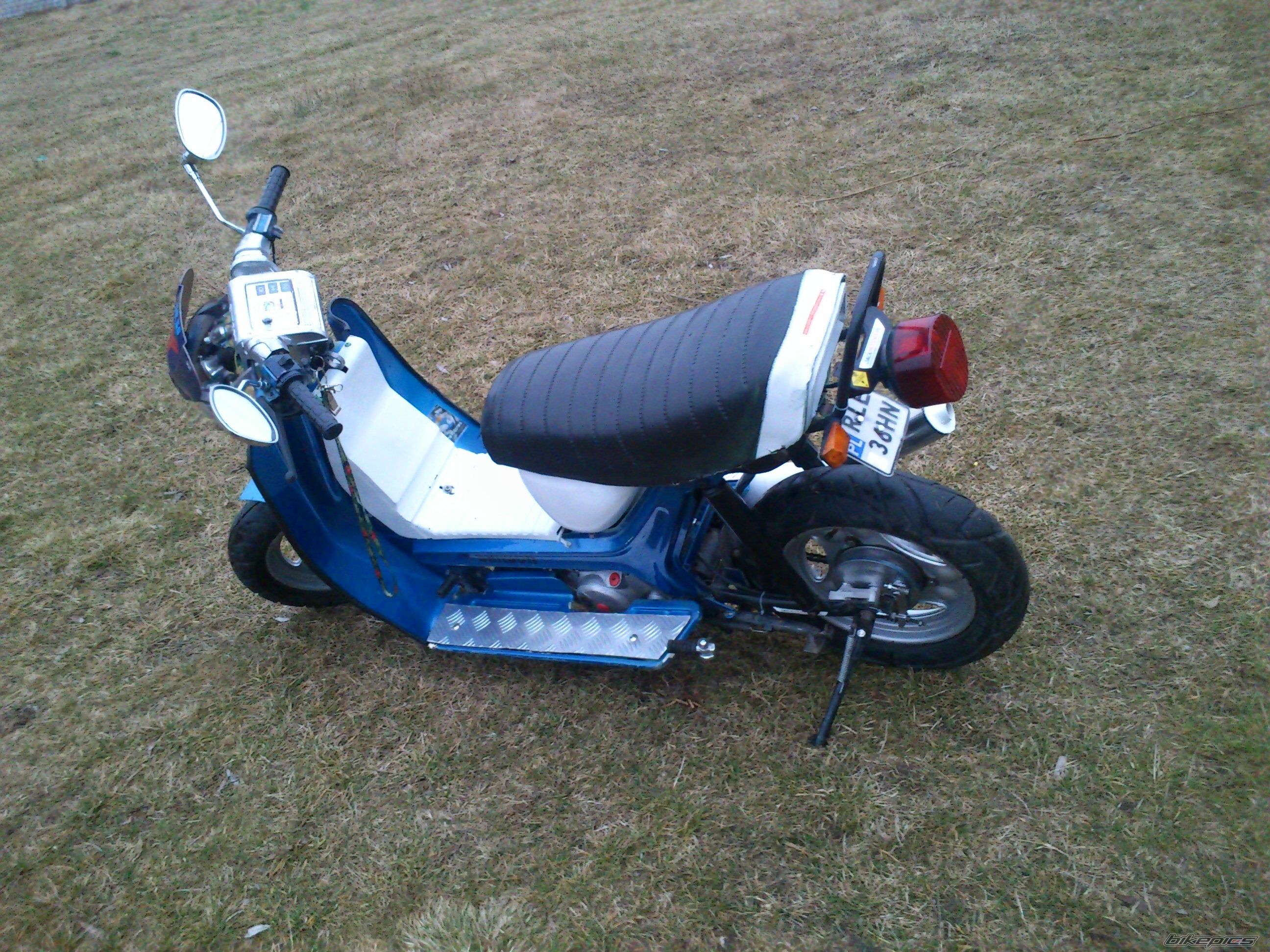 Photo 2648736