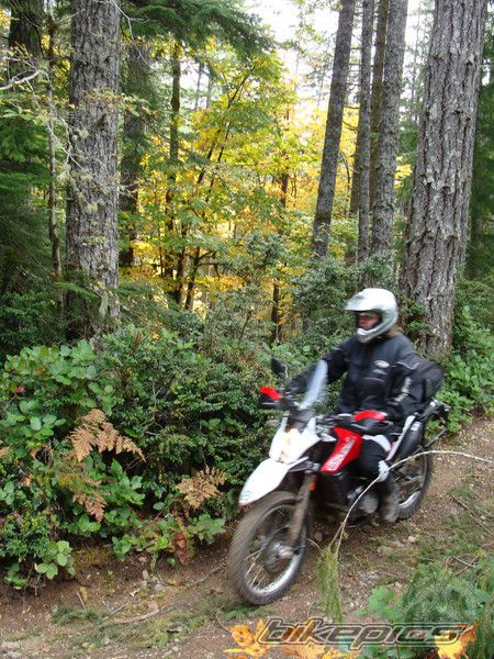 Photo 2648769