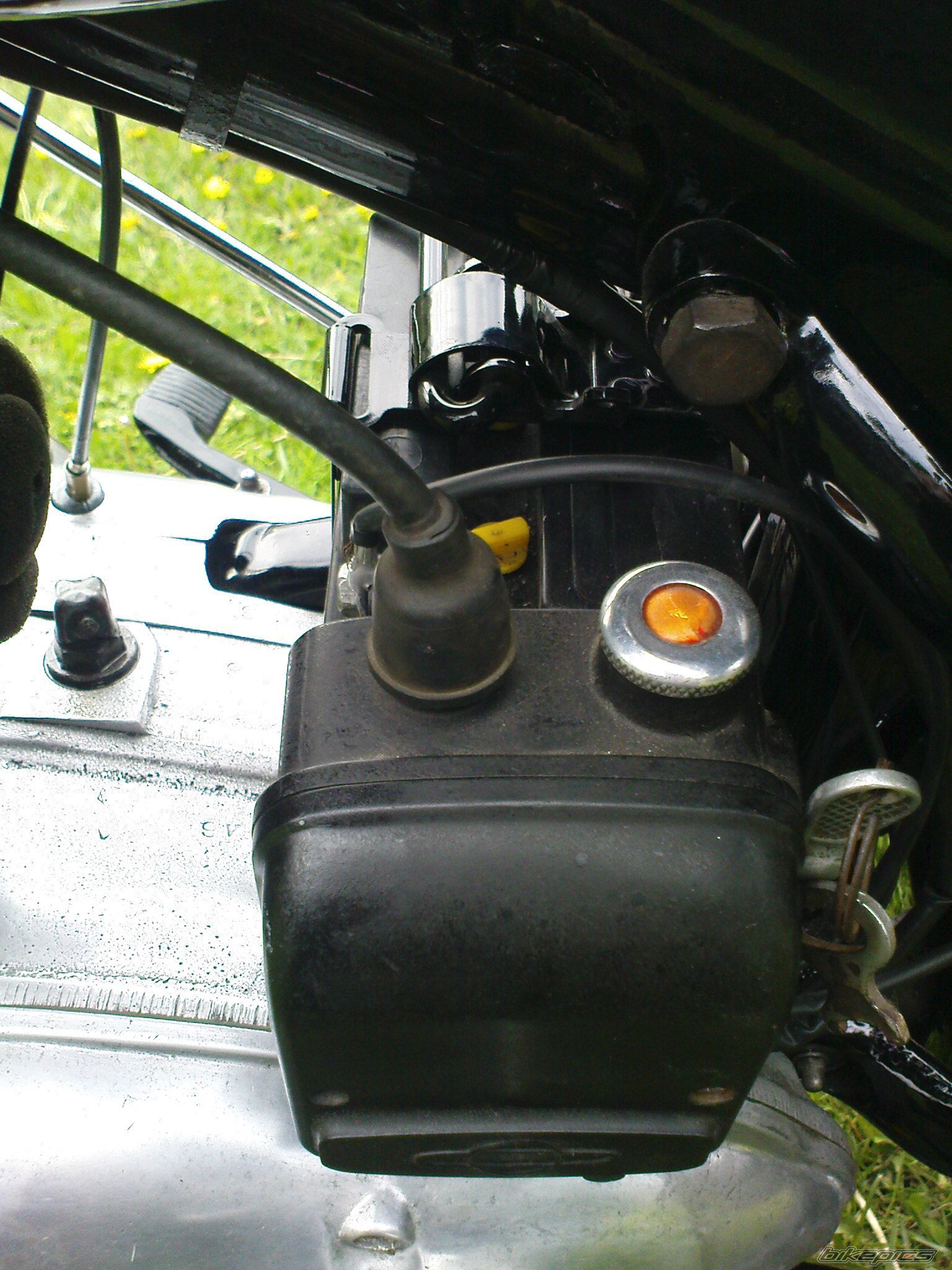 Photo 2648837