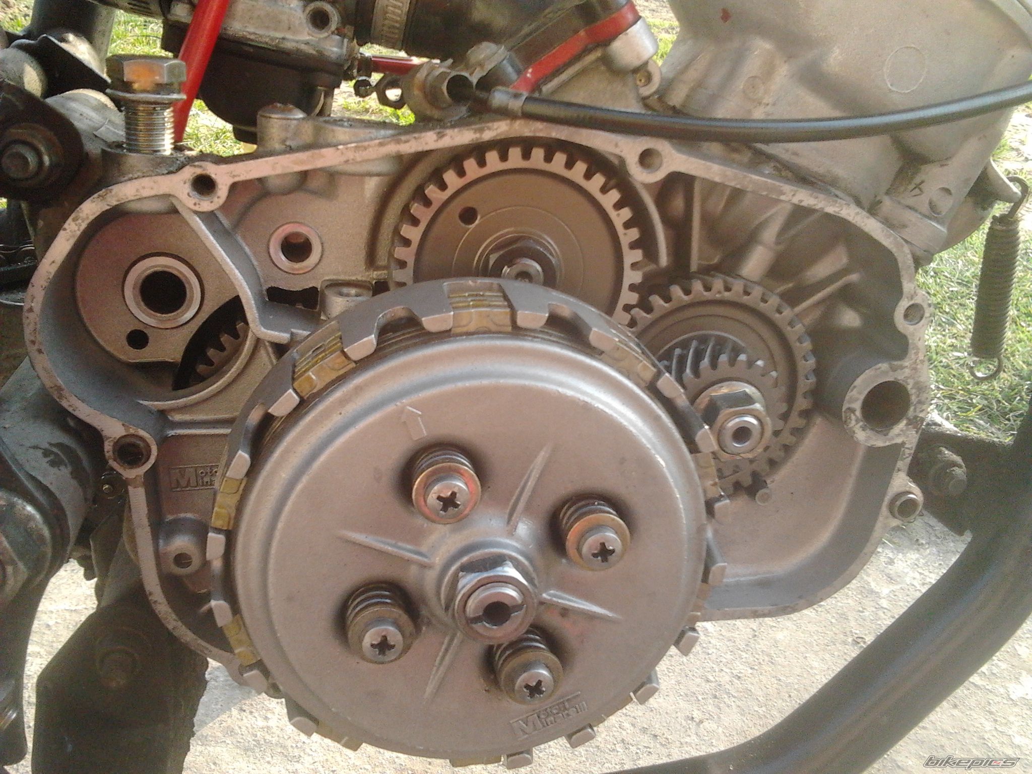 Photo 2648869