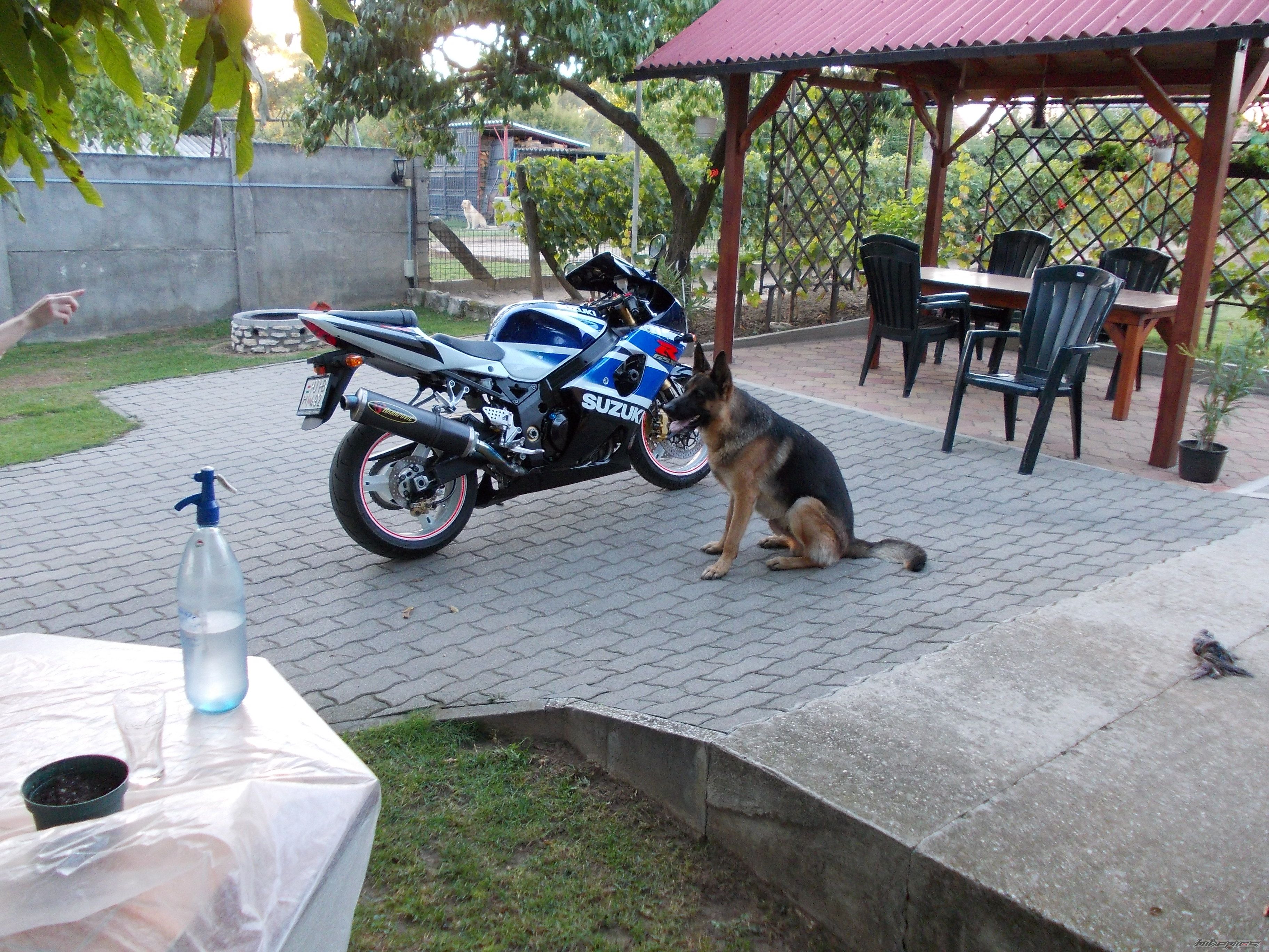 Photo 2648895