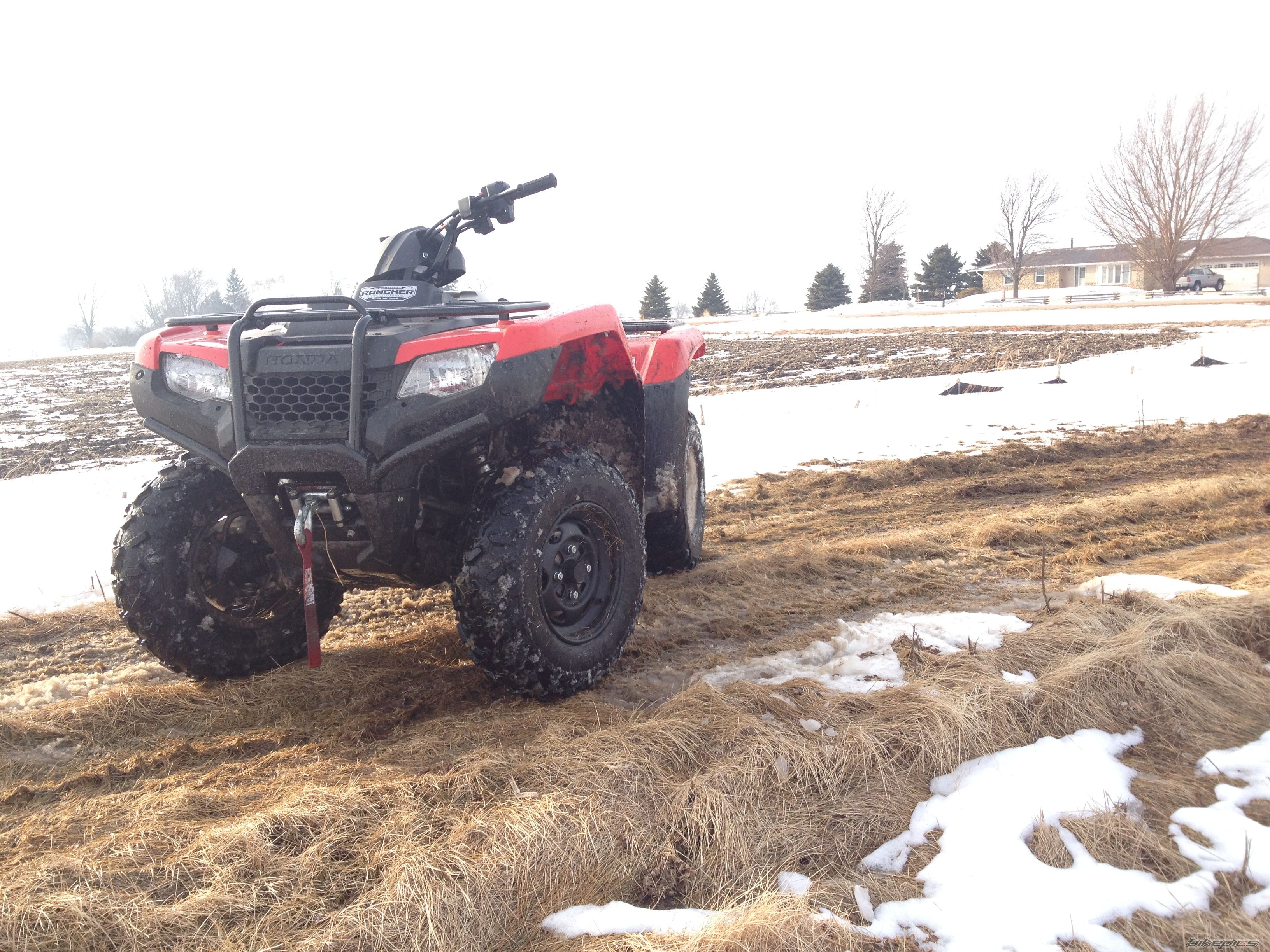 Photo 2648942
