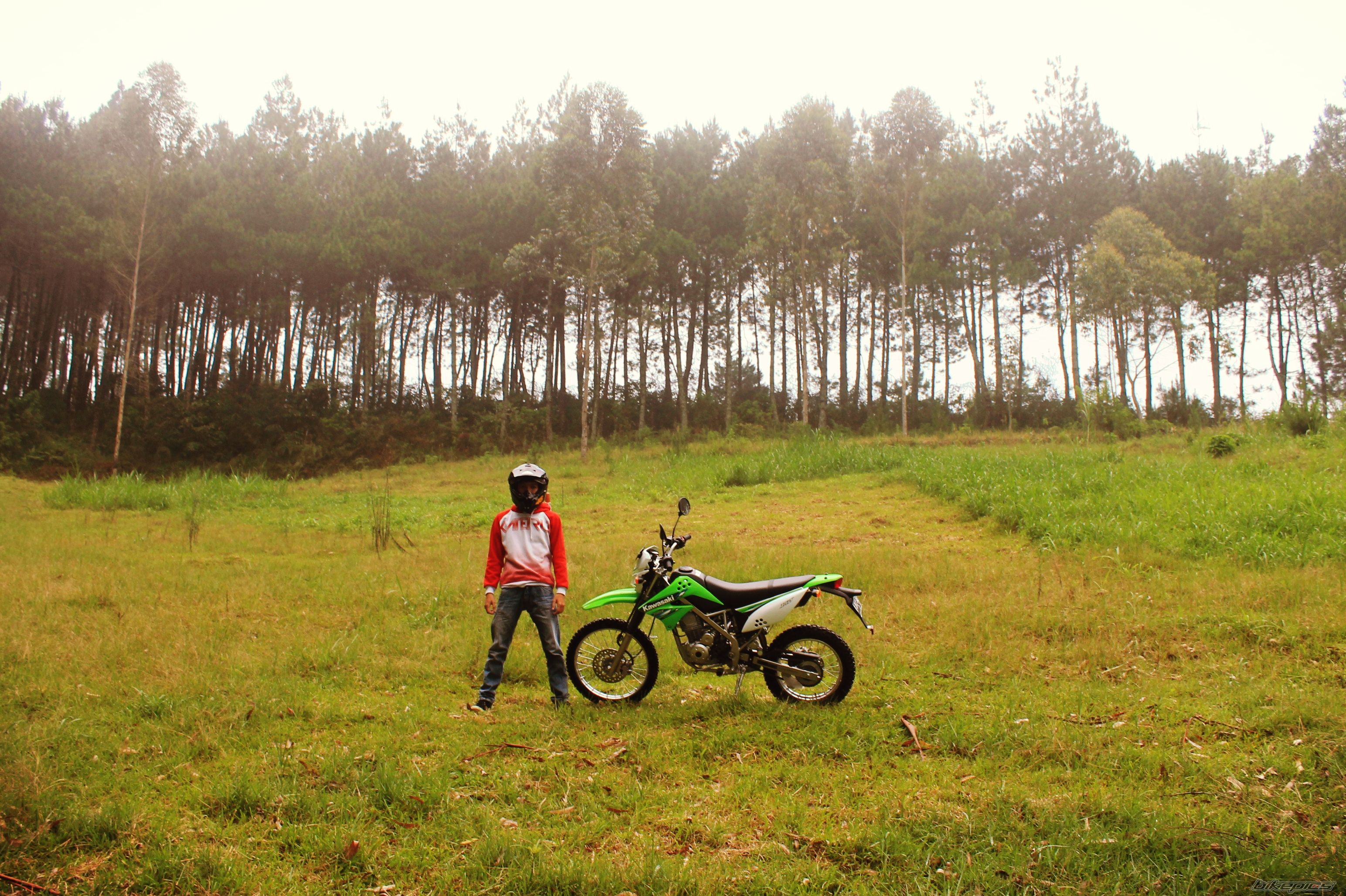 Bike Photo 2649003
