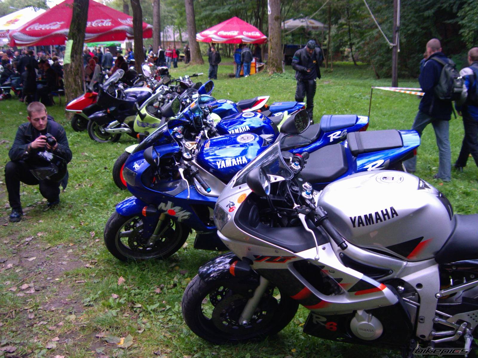 Photo 264919