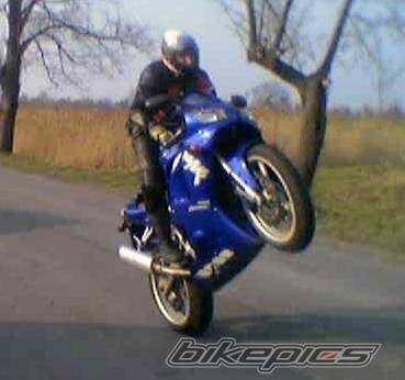 Photo 264920