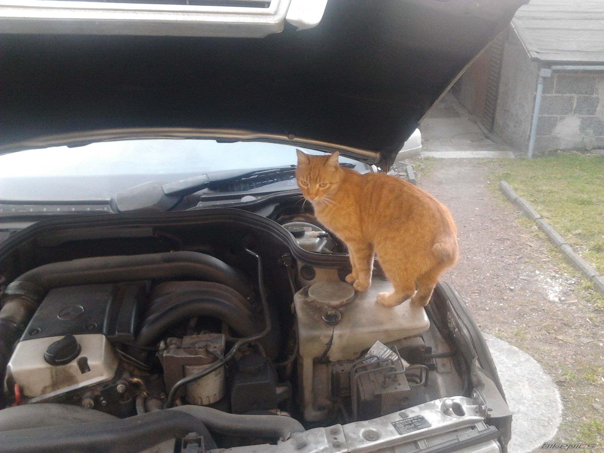 Photo 2649221