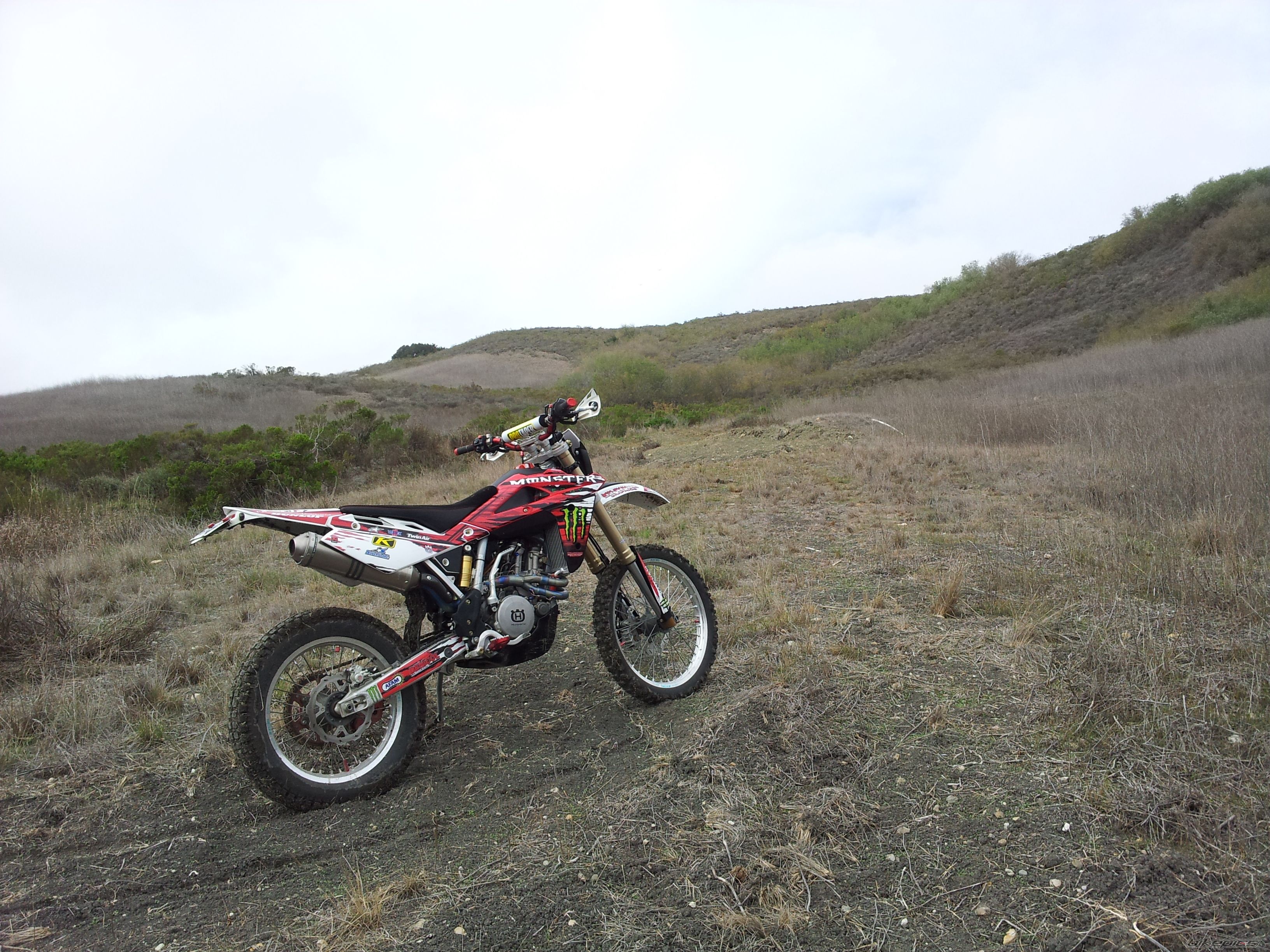 Photo 2649299