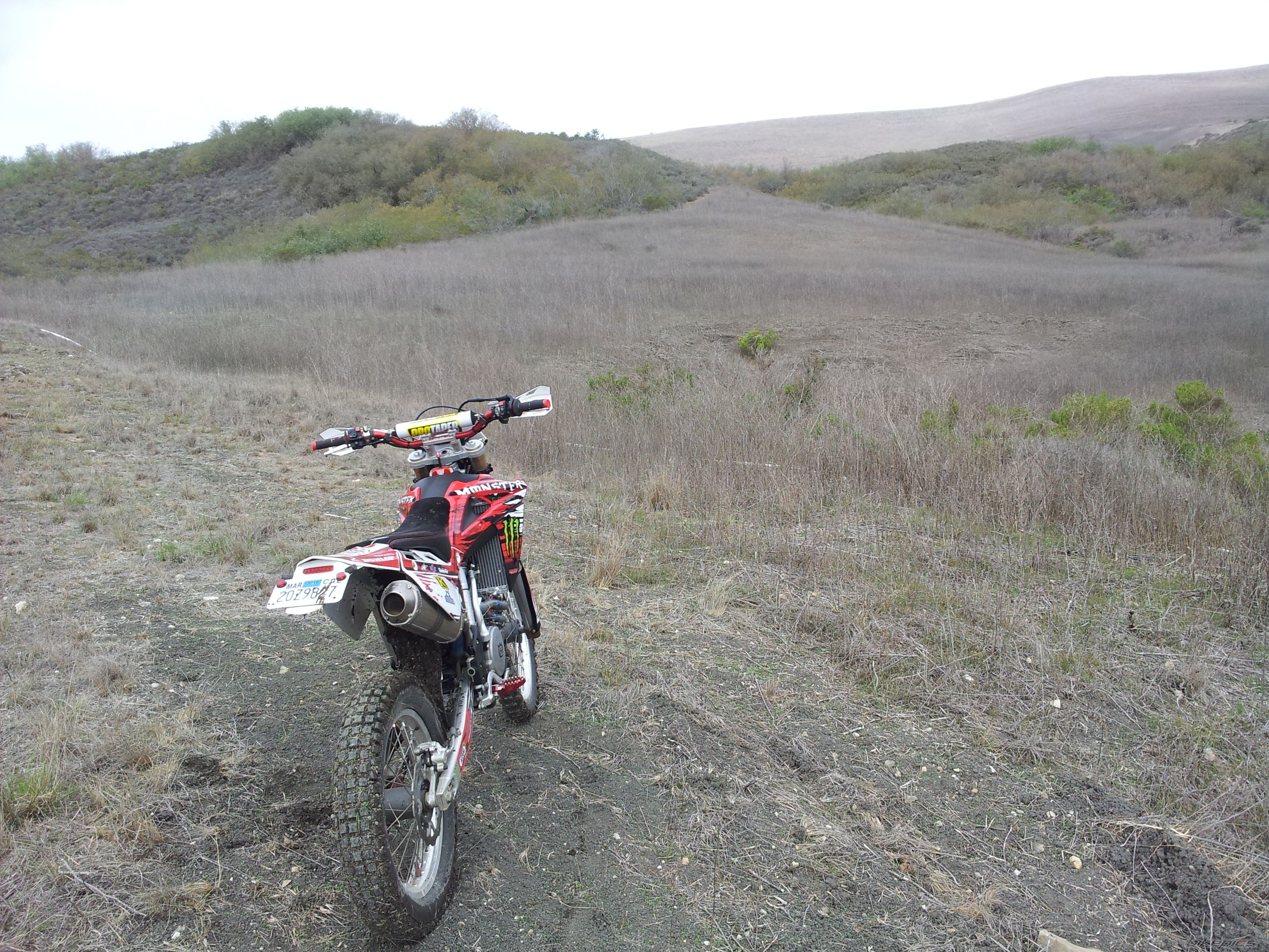 Photo 2649302