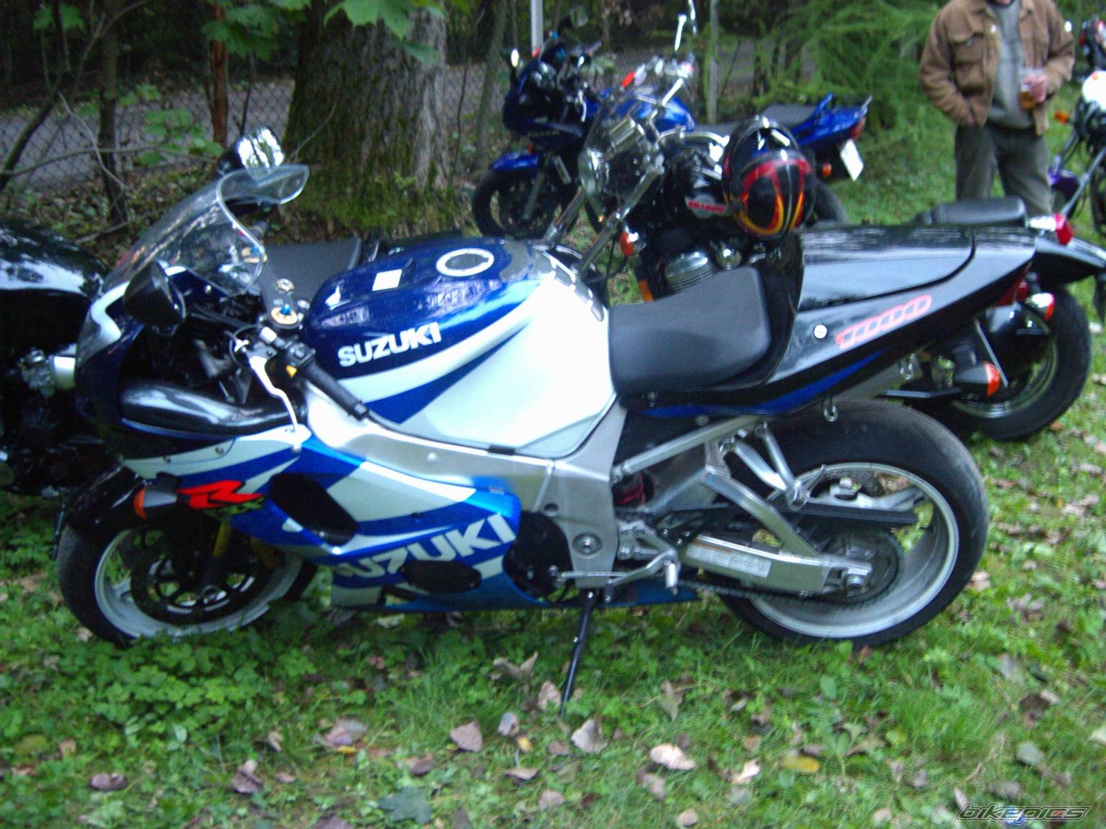 Photo 264933