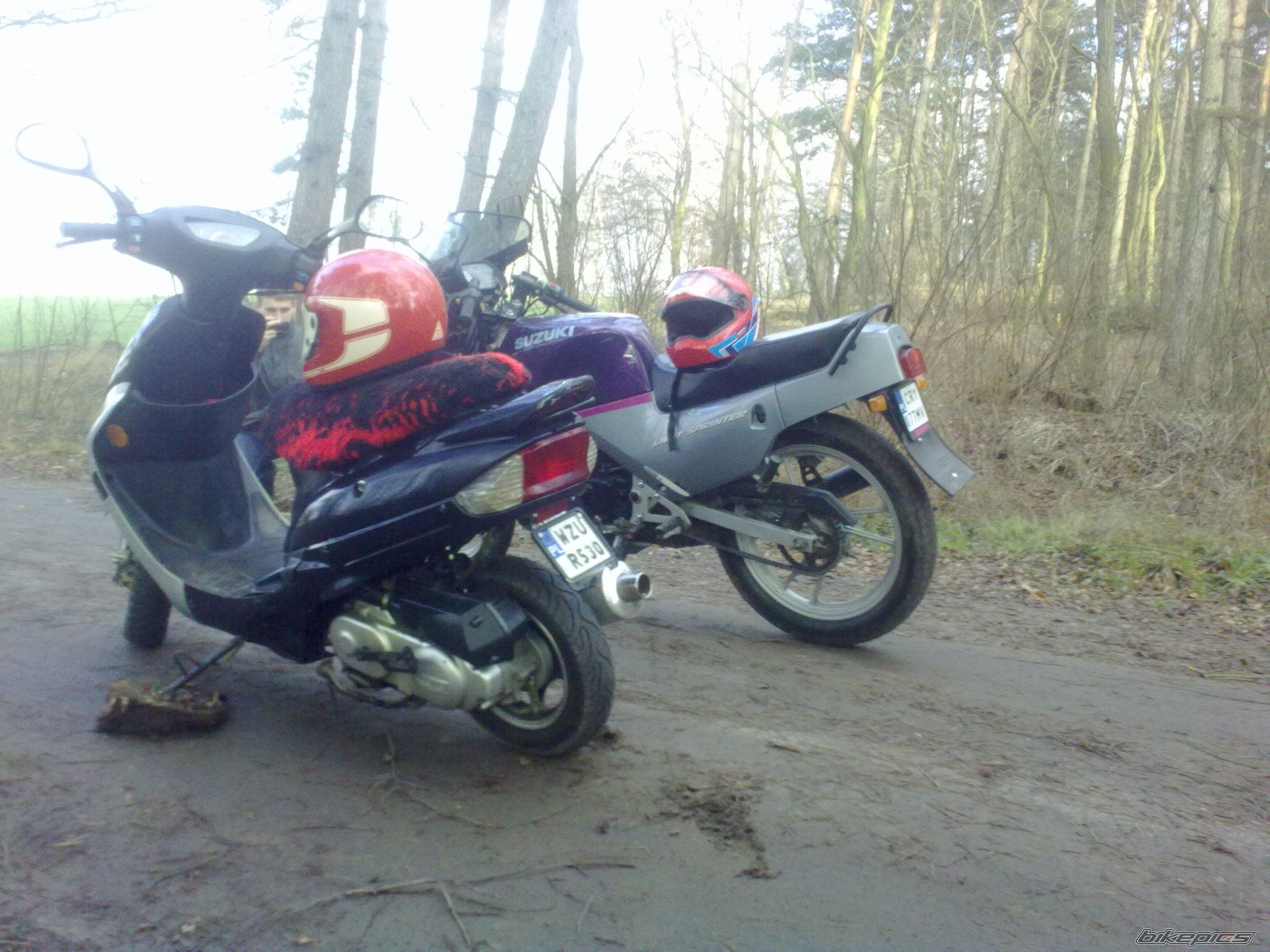 Photo 2649378