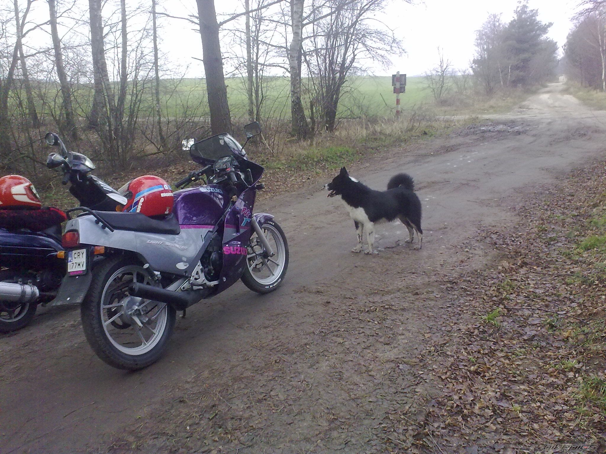 Photo 2649380