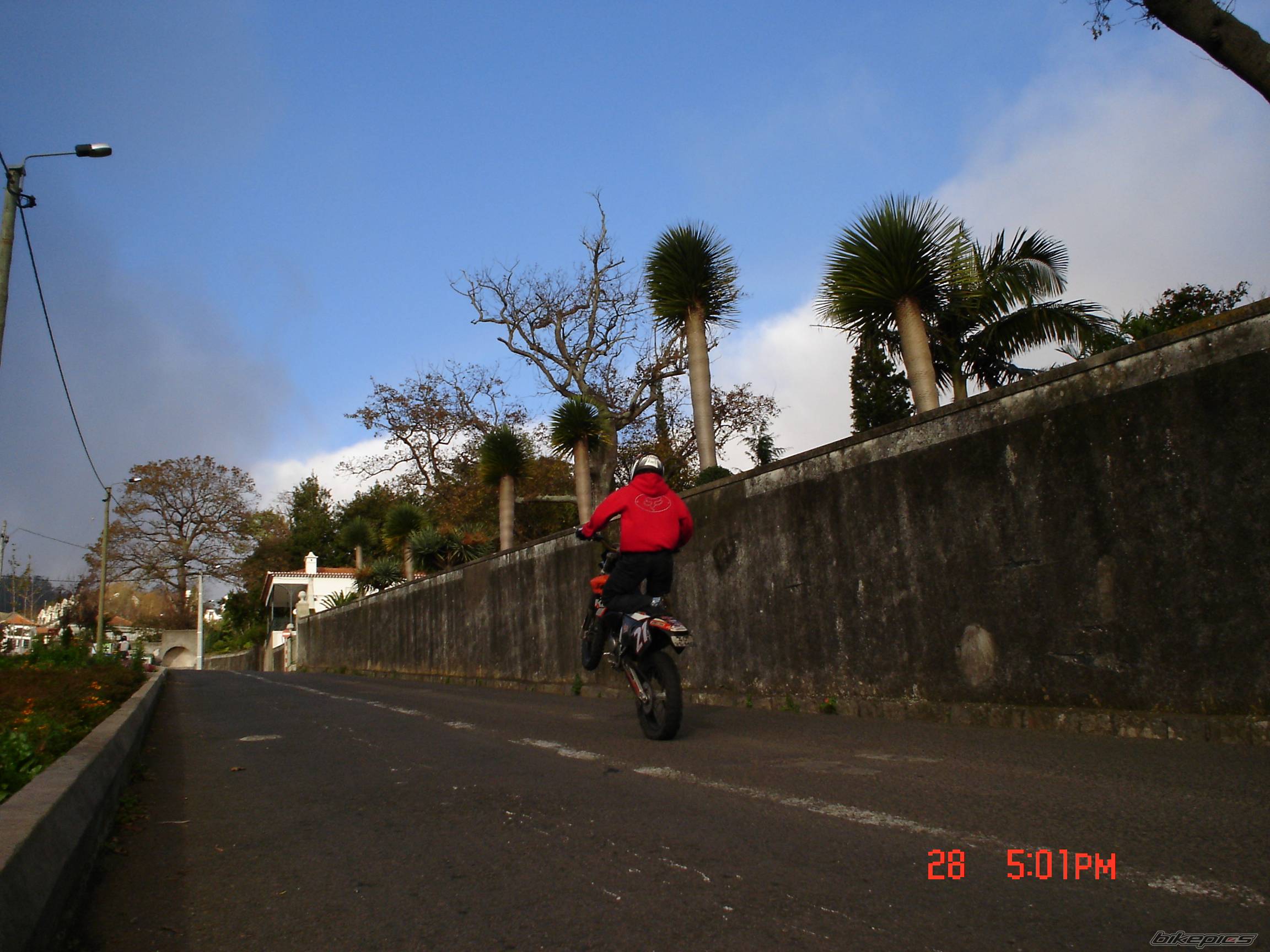 Photo 264941