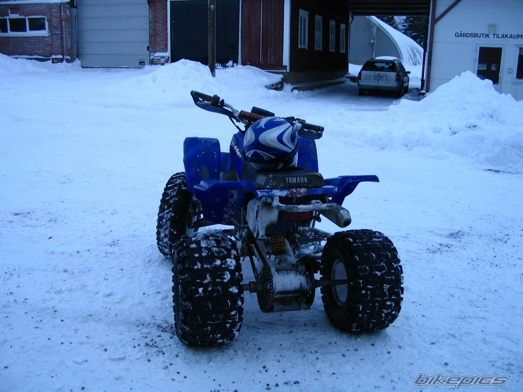 Photo 264942