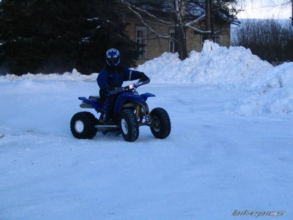 Photo 264945