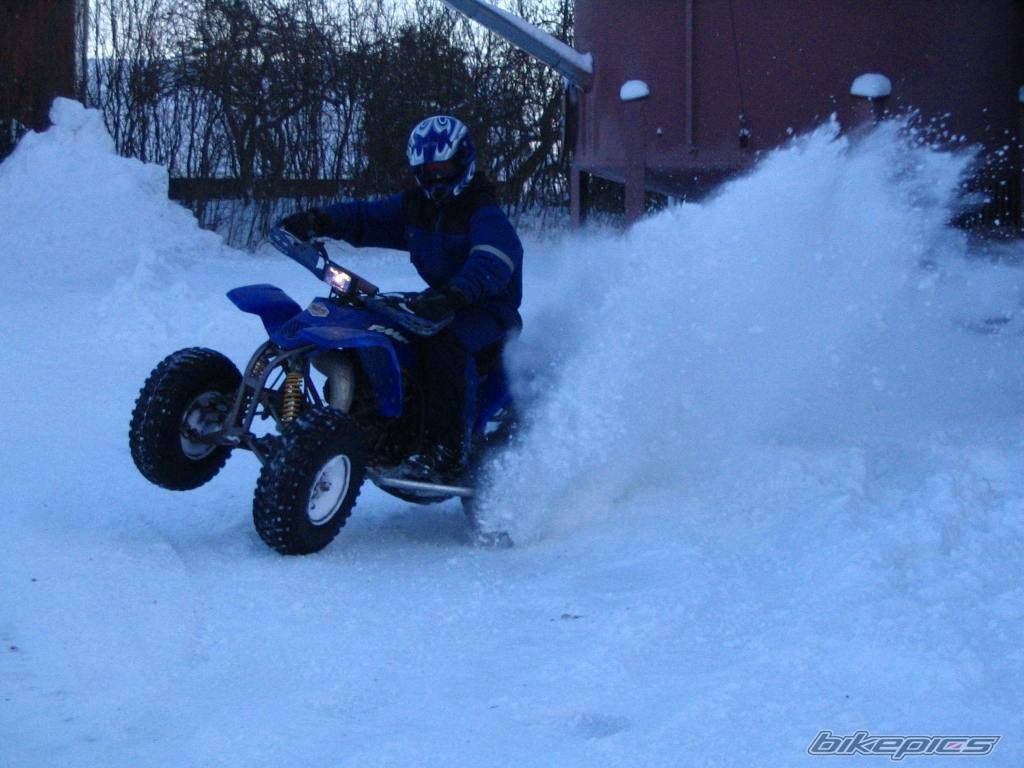 Bike Photo 264947