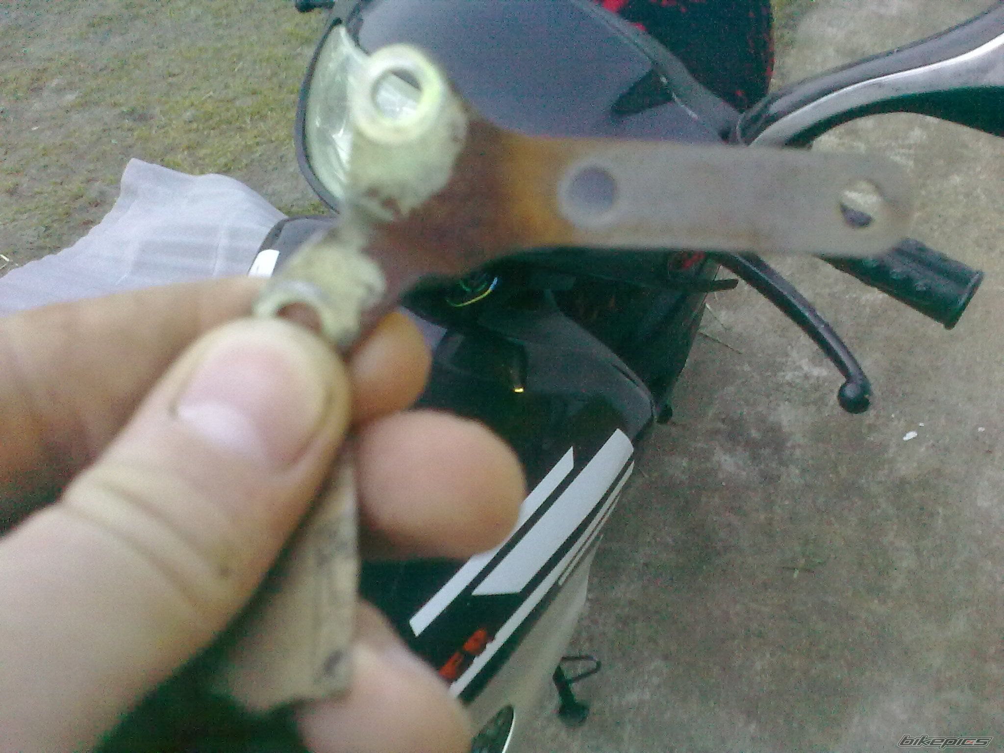 Photo 2649471
