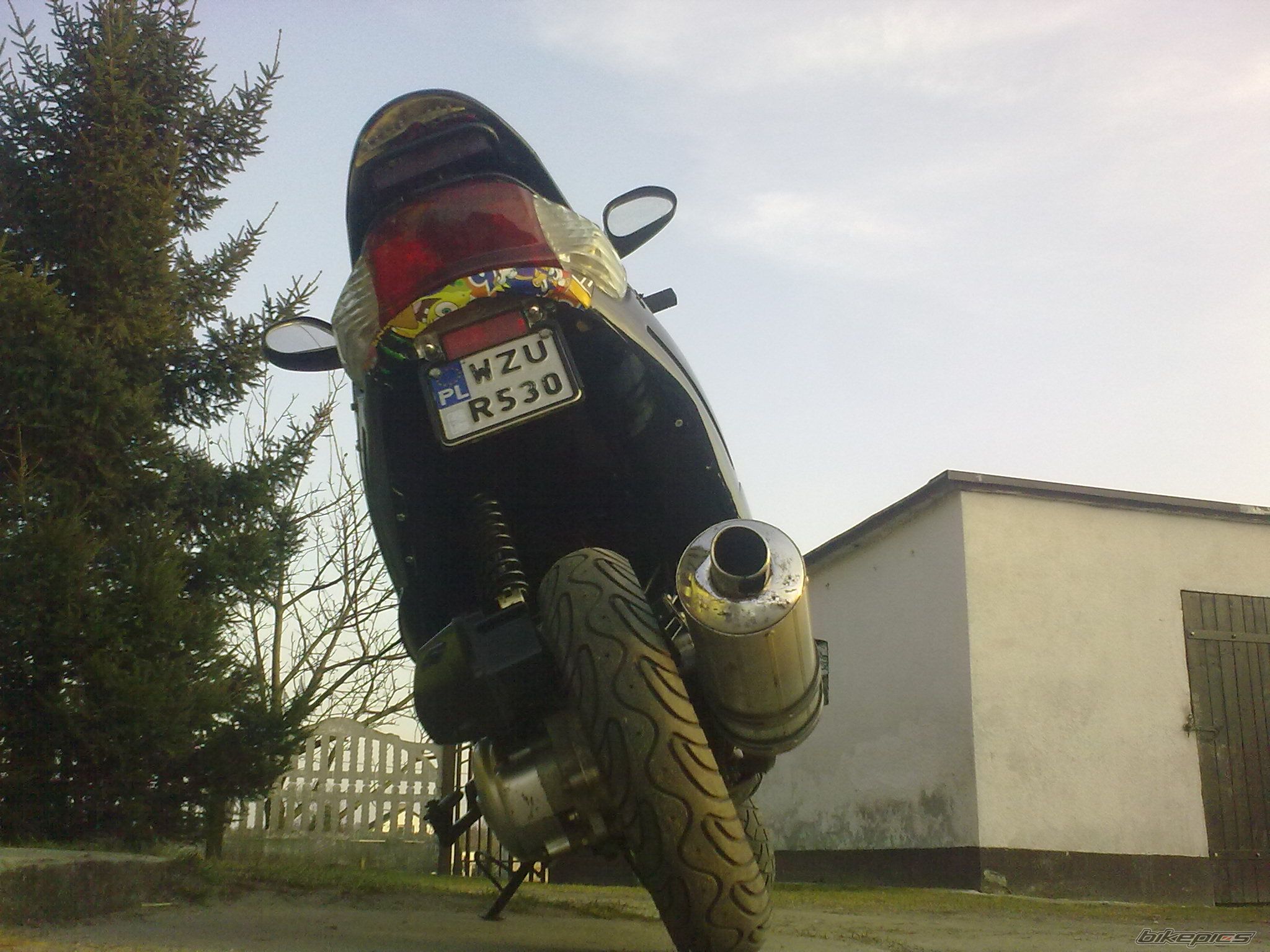 Photo 2649487