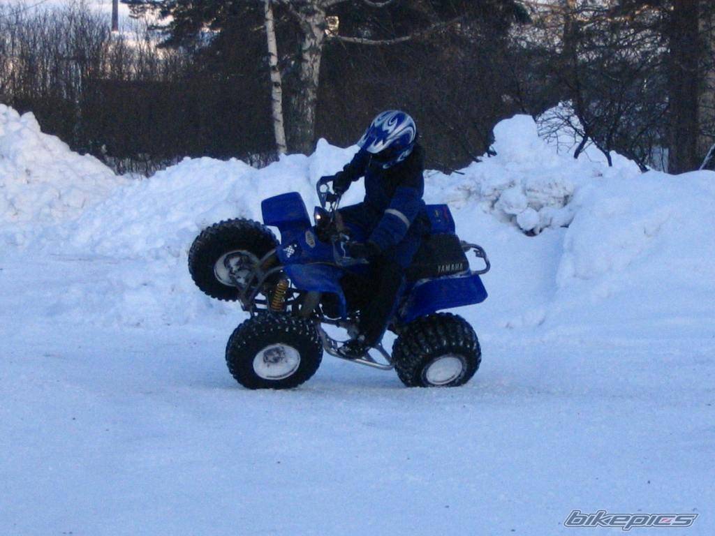 Bike Photo 264949