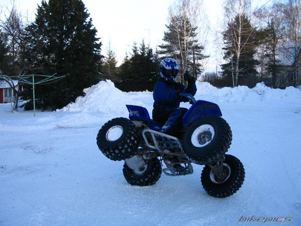 Bike Photo 264951