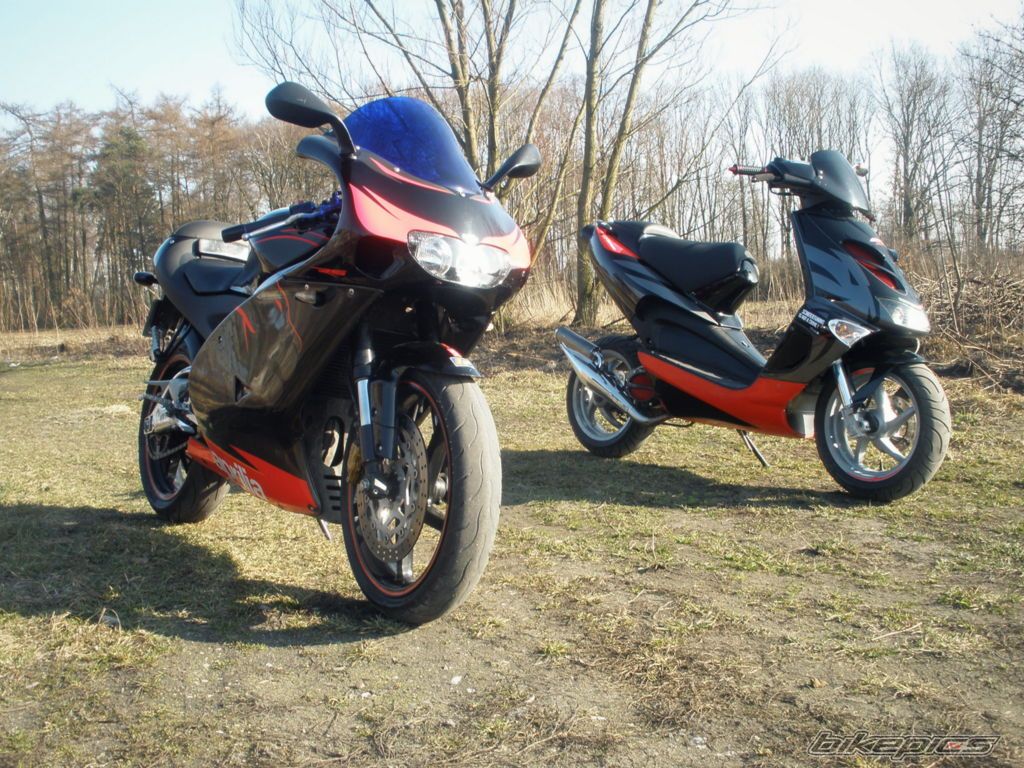 Photo 2649686