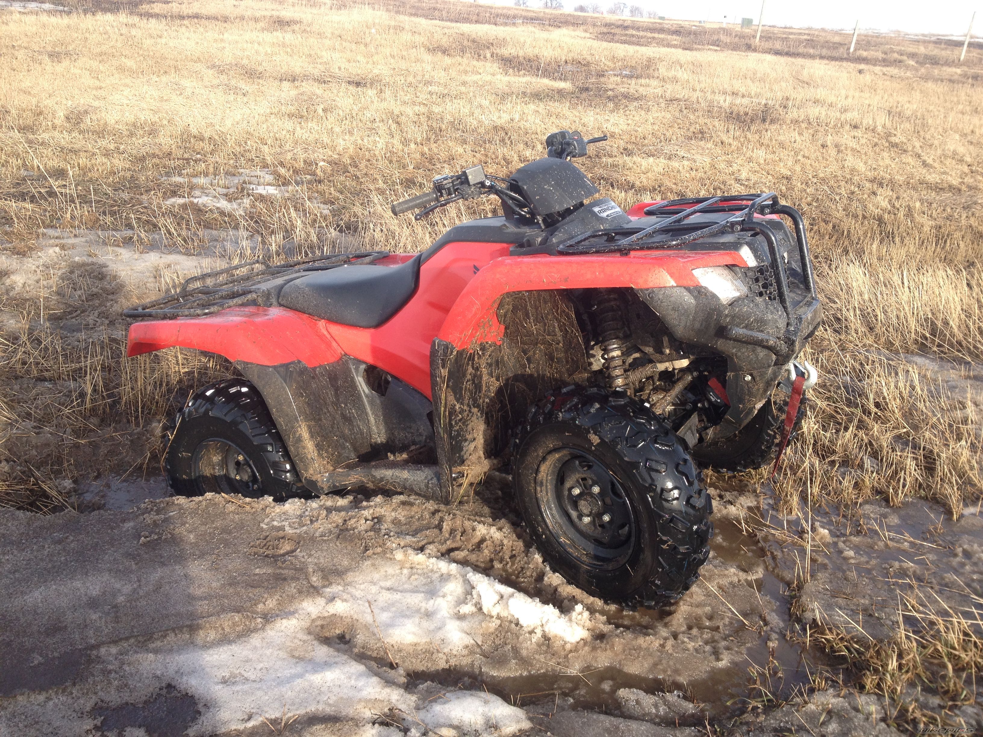 Photo 2649769
