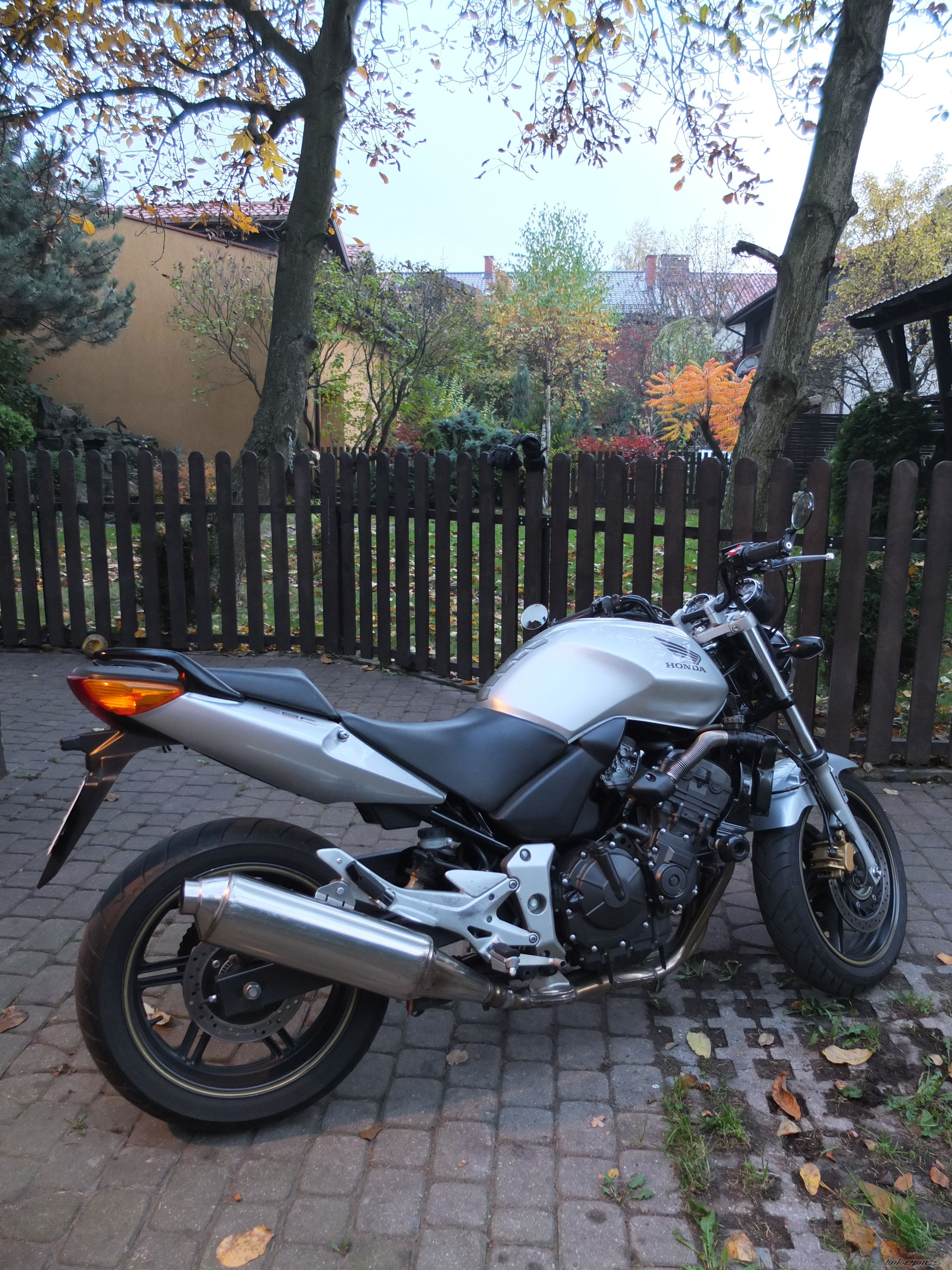 Photo 2649841