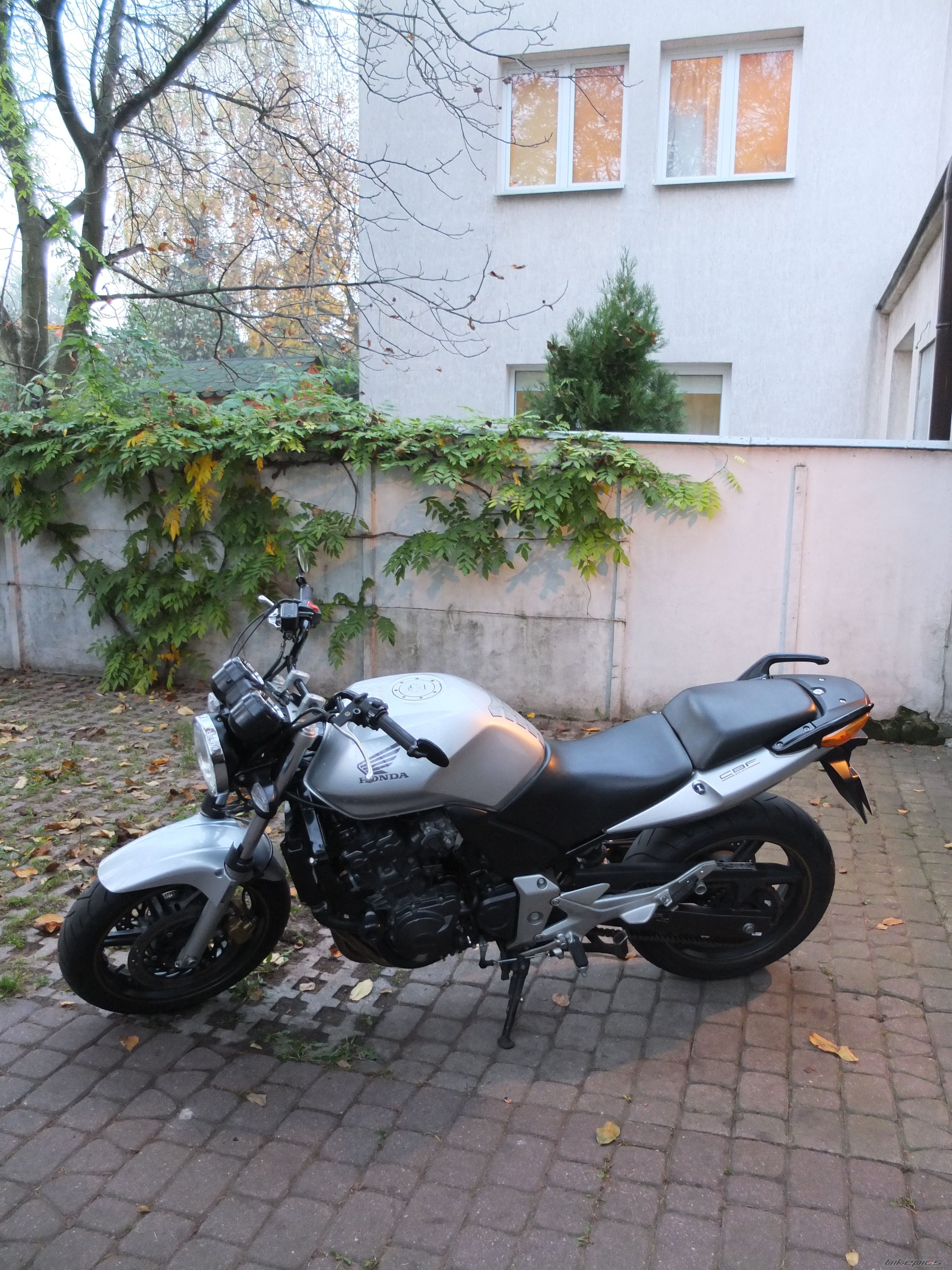 Photo 2649845