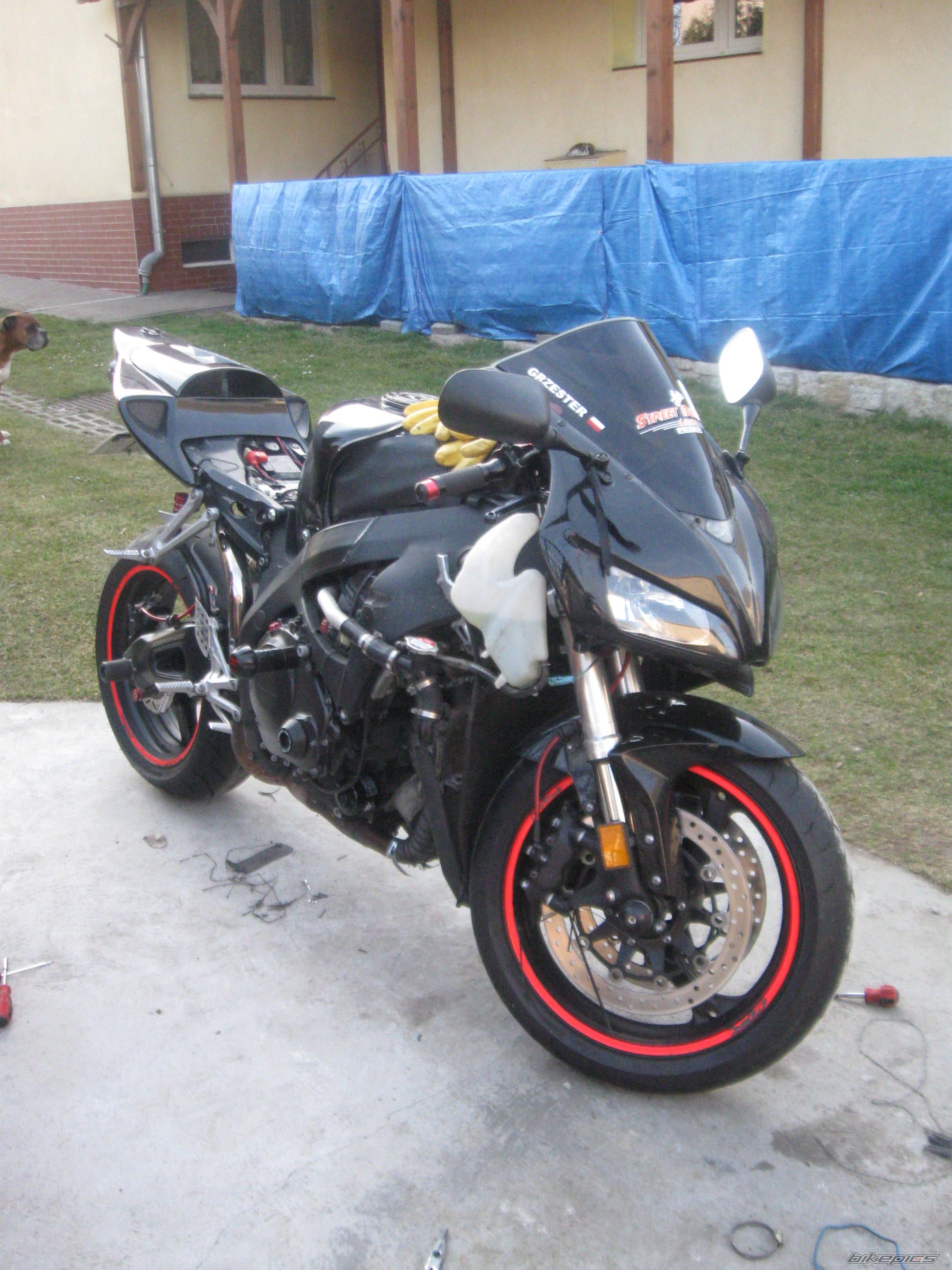 Photo 2649912