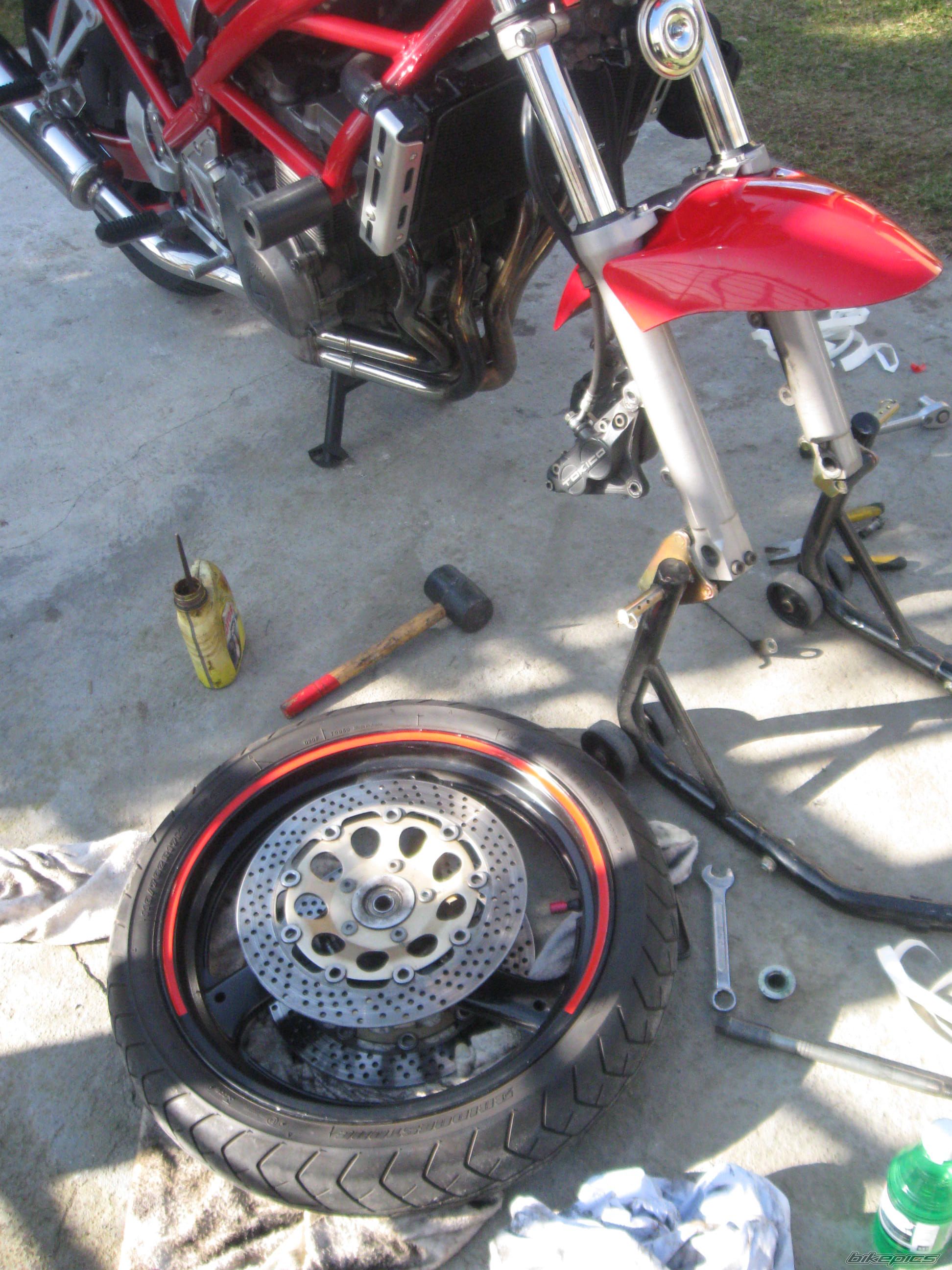Photo 2649918
