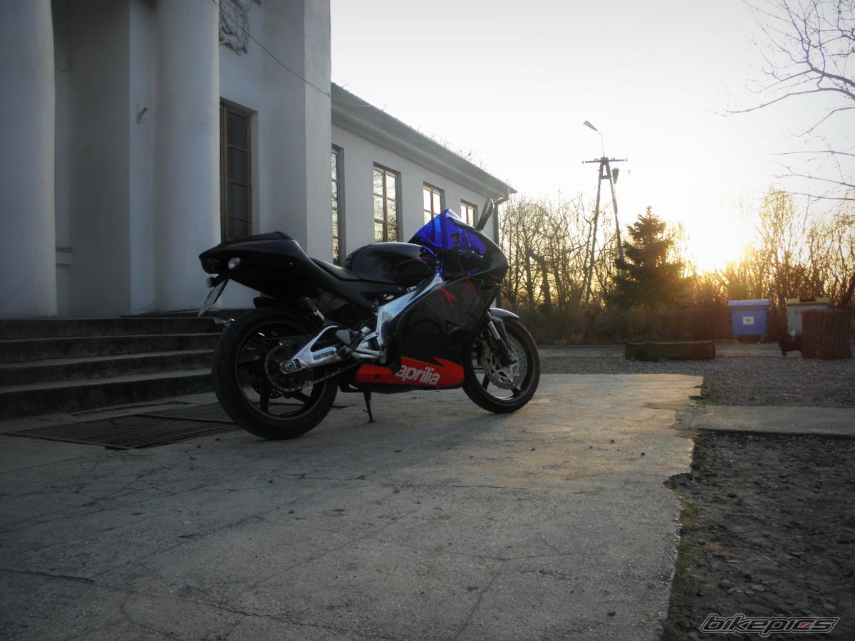 Photo 2649949