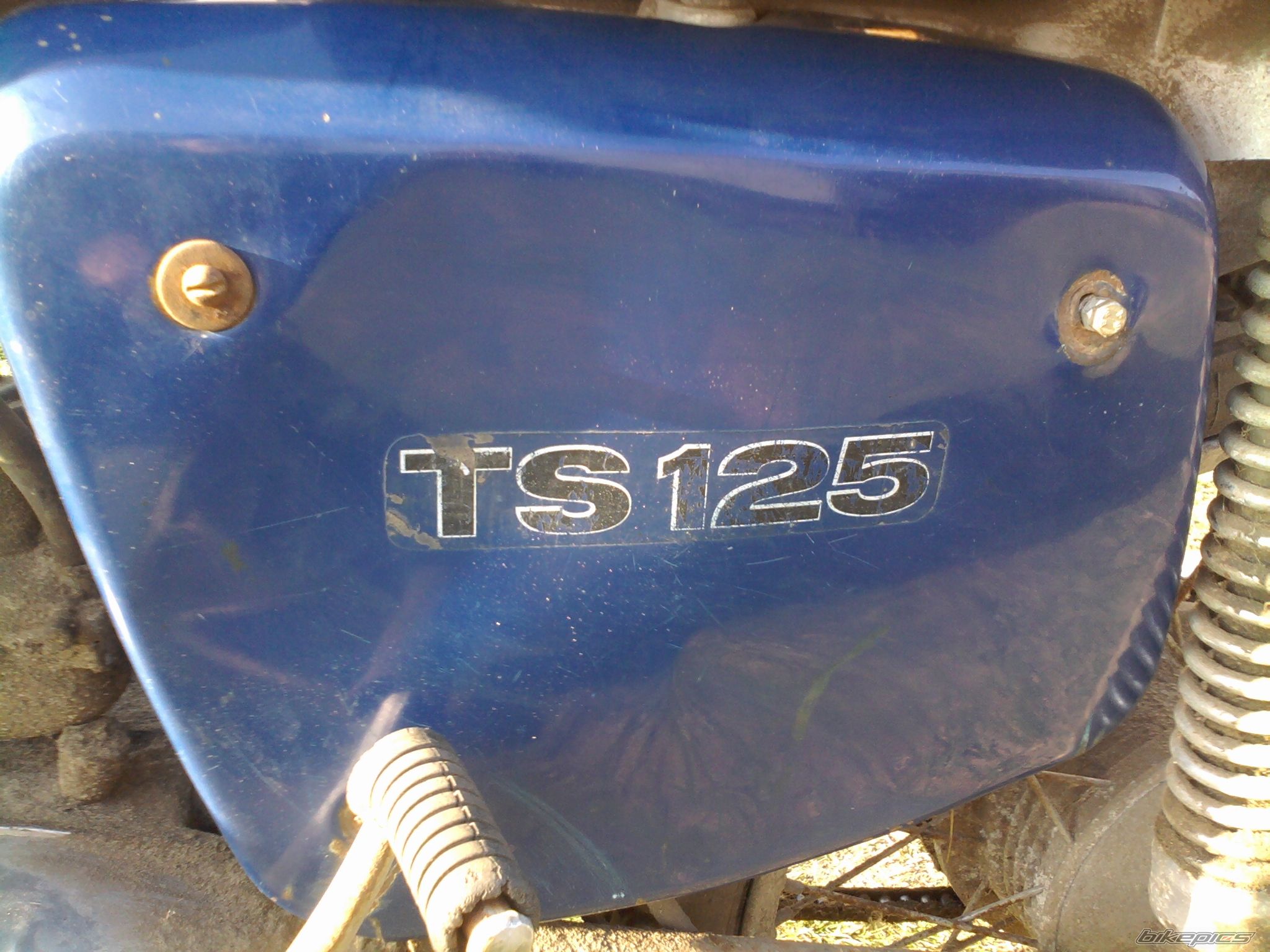 Photo 2649981
