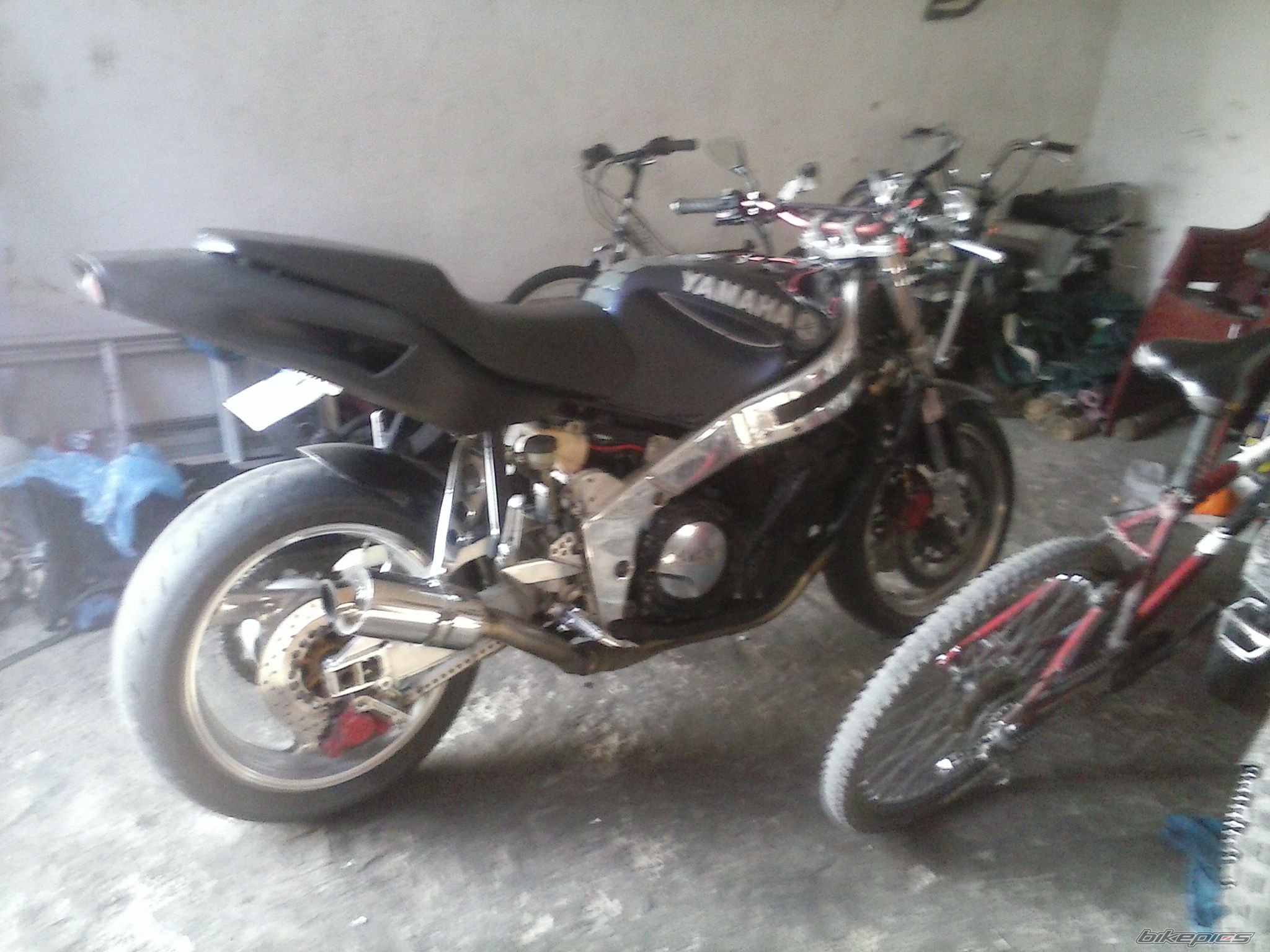 Photo 2650007