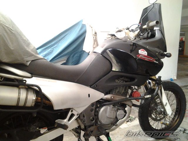 Photo 2650218