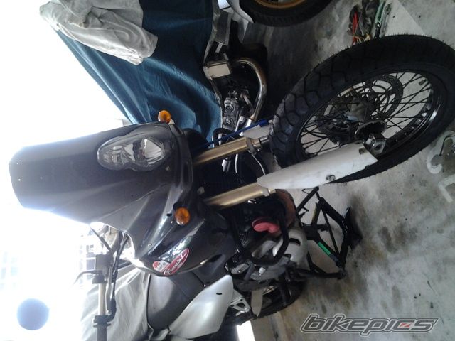 Photo 2650220