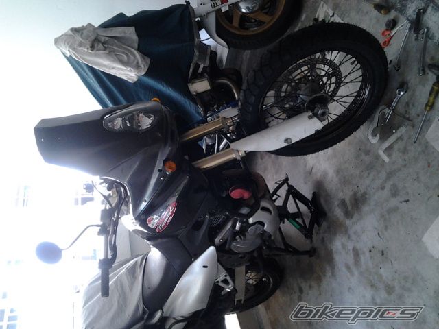 Photo 2650221